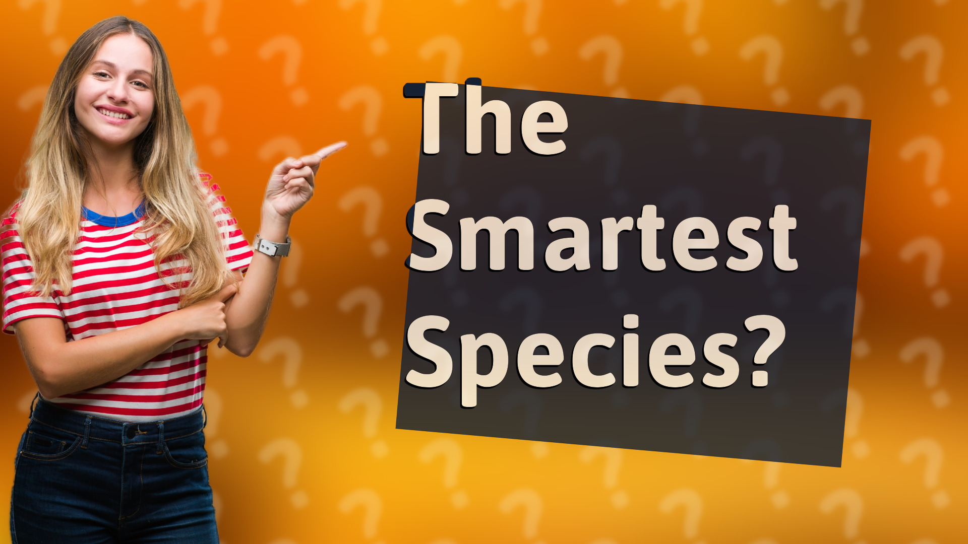 The Smartest Species?