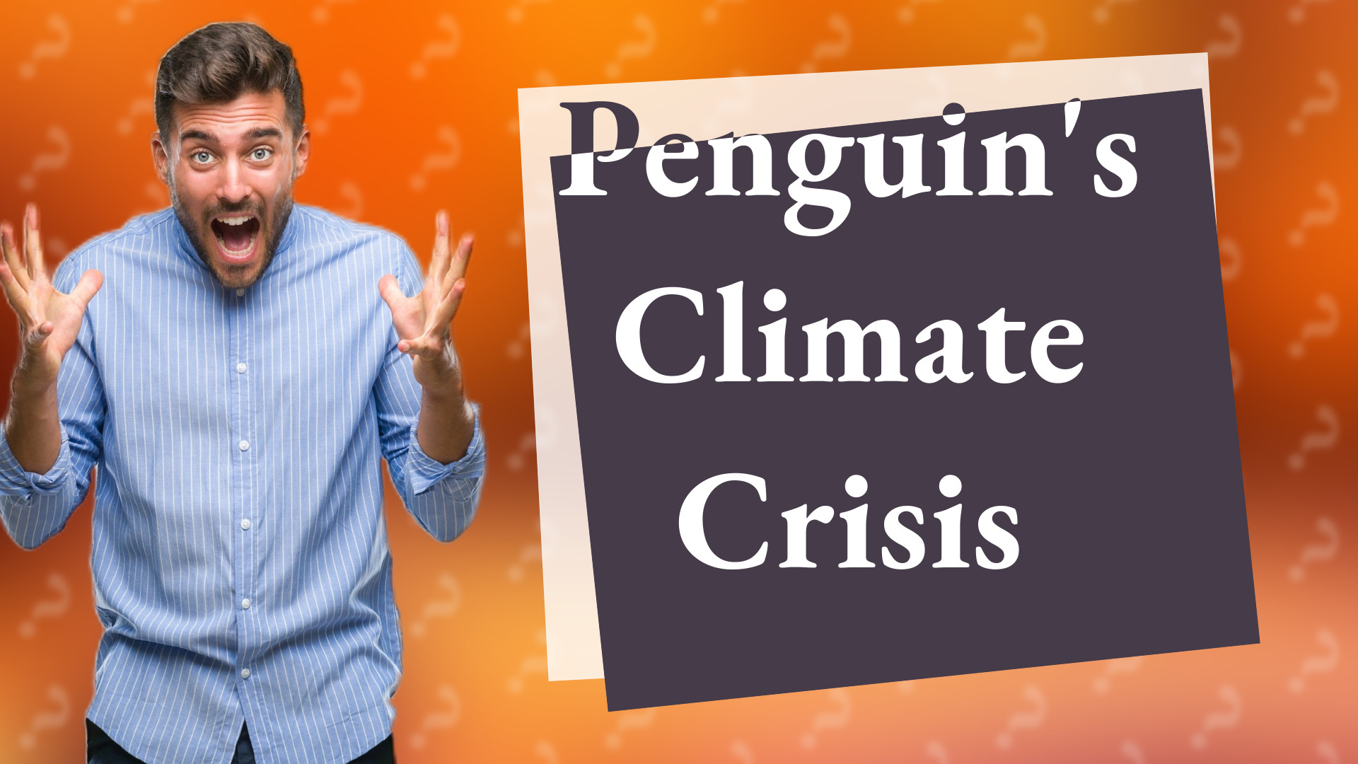 Penguin's Climate Crisis