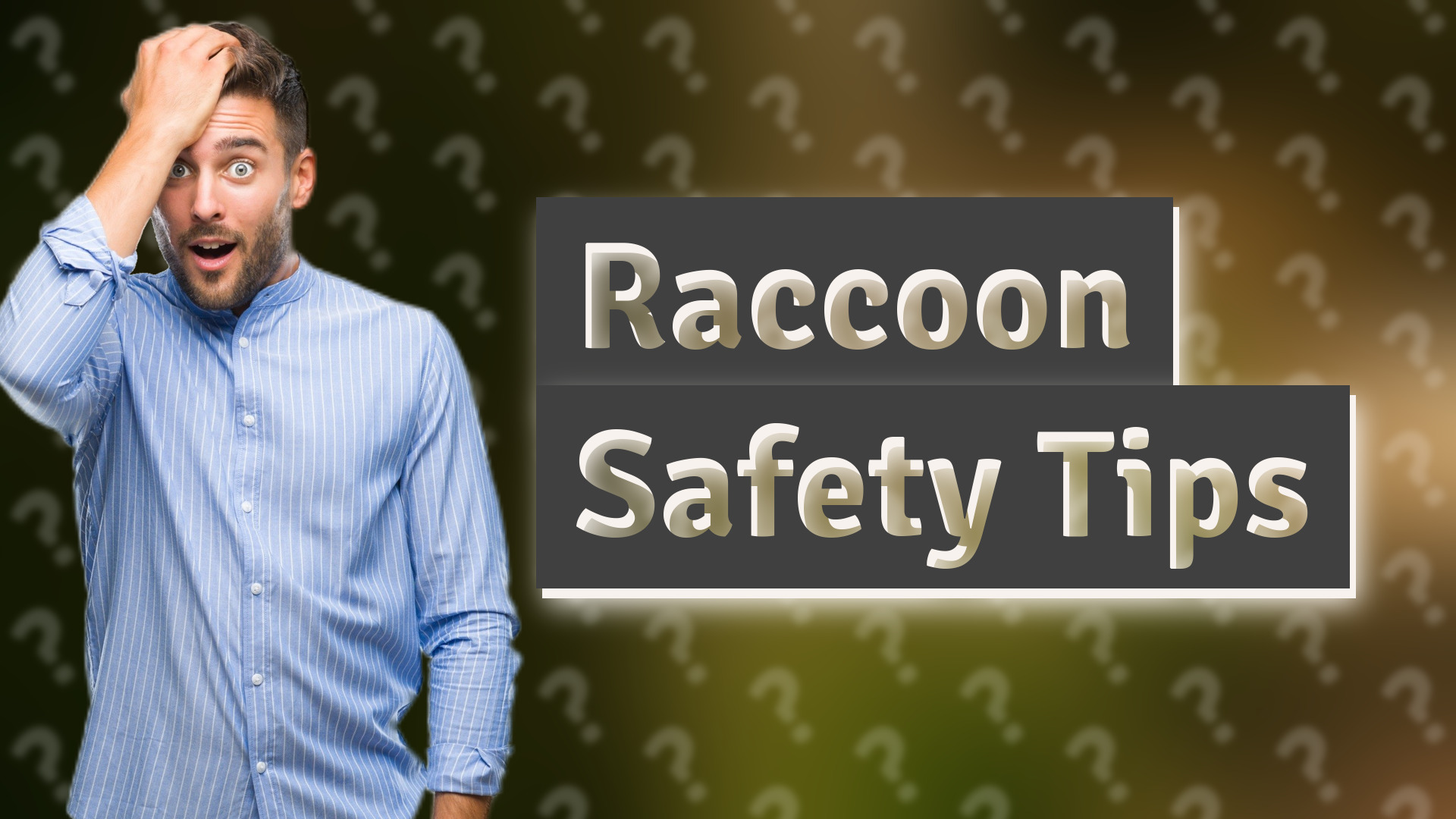 Raccoon Safety Tips