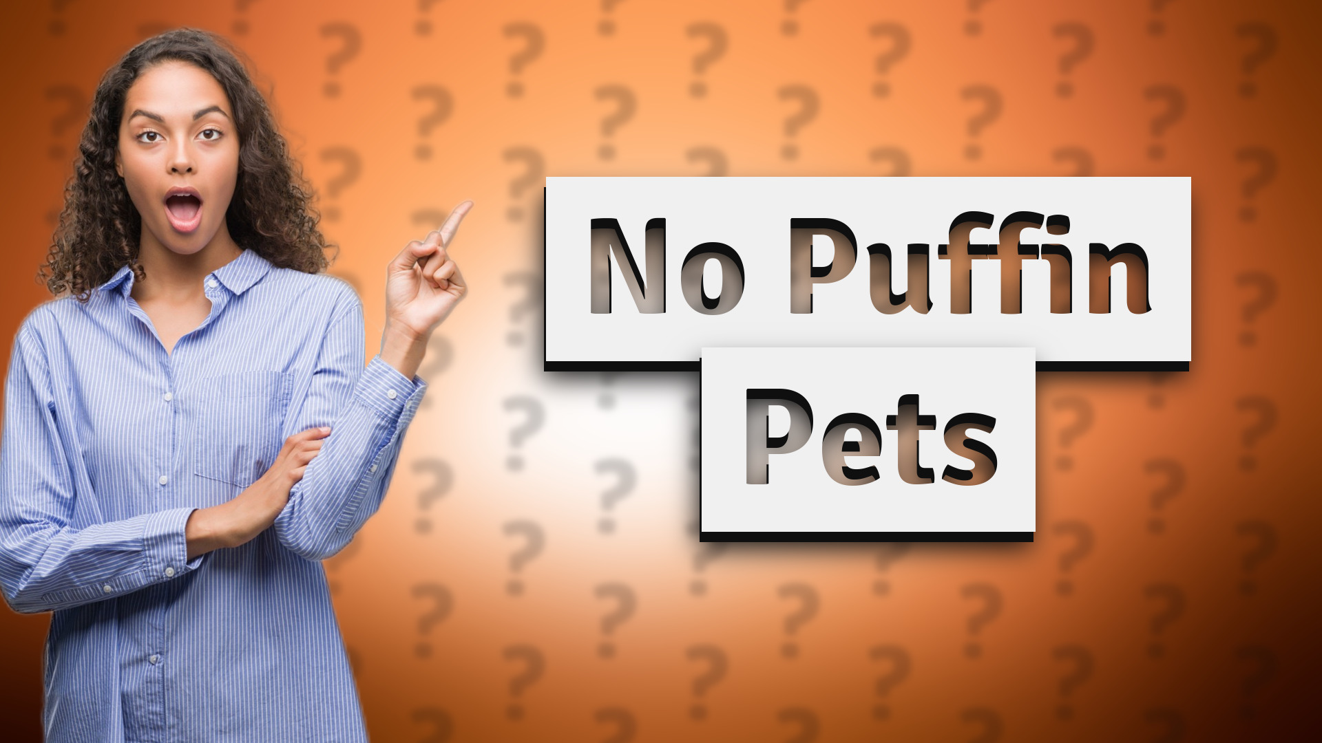 No Puffin Pets