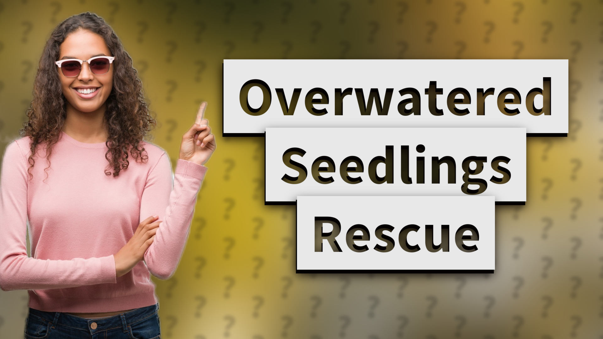 Overwatered Seedlings Rescue