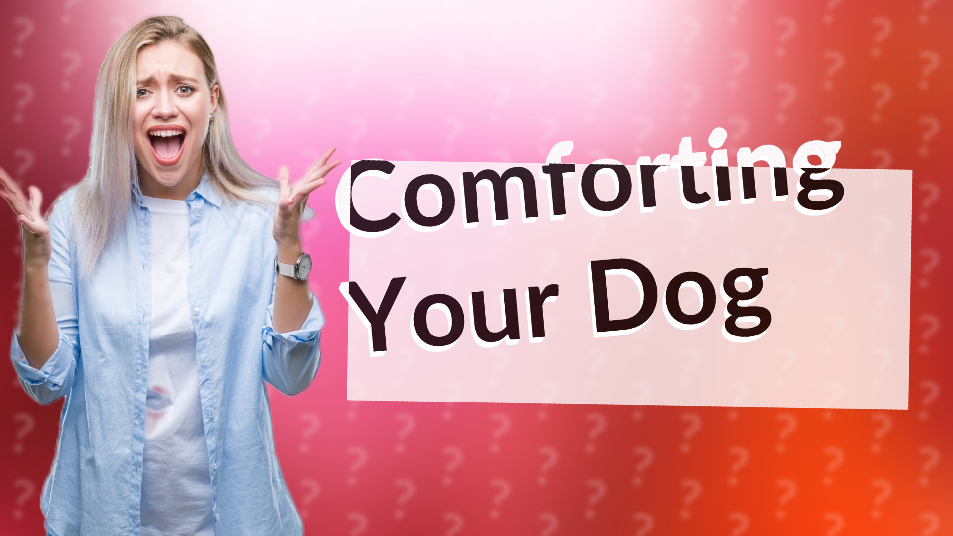 Comforting Your Dog