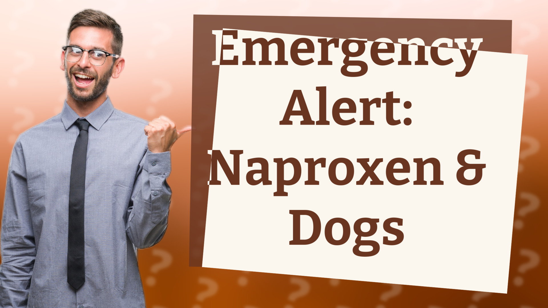 Emergency Alert: Naproxen & Dogs