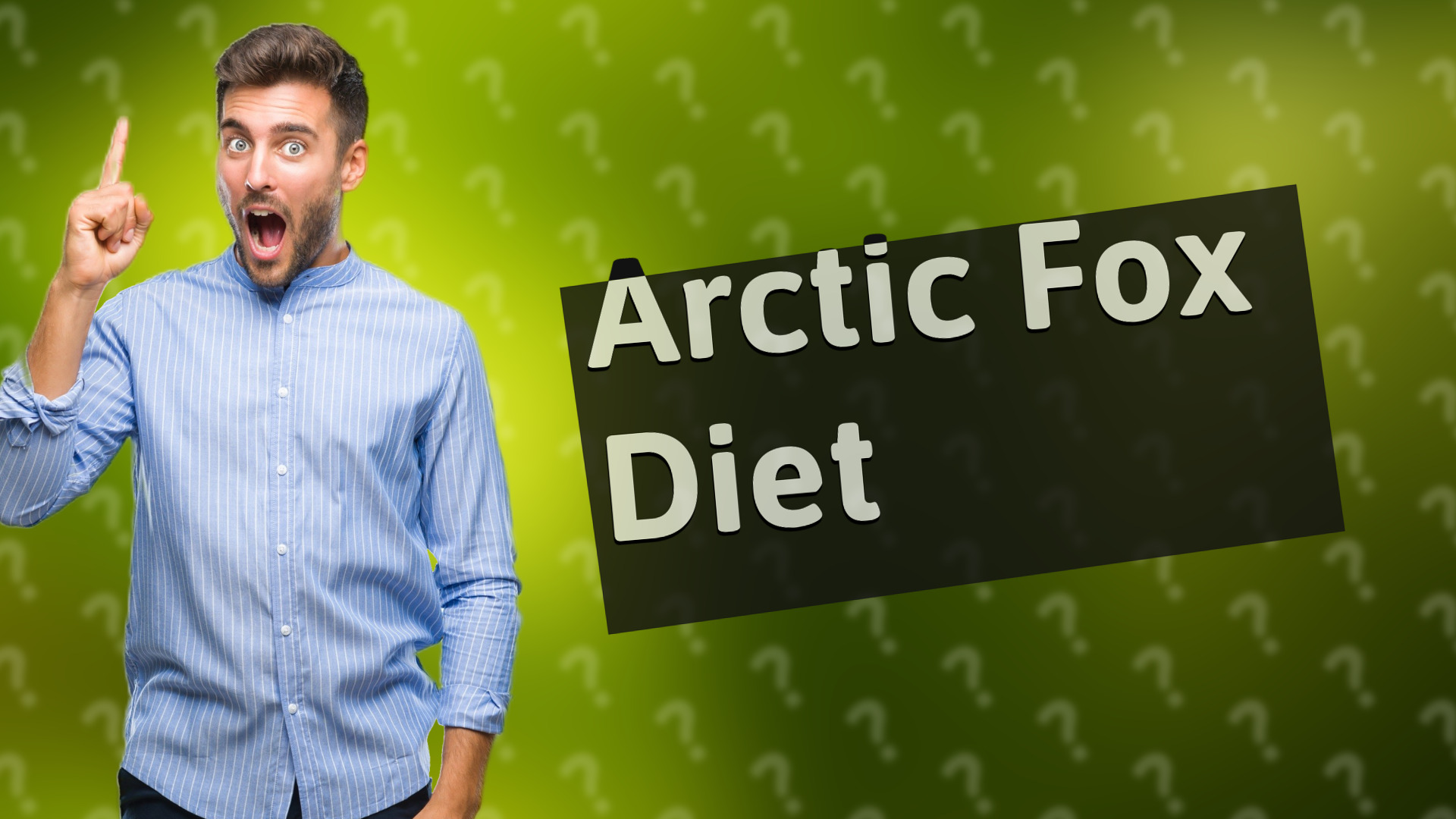 Arctic Fox Diet
