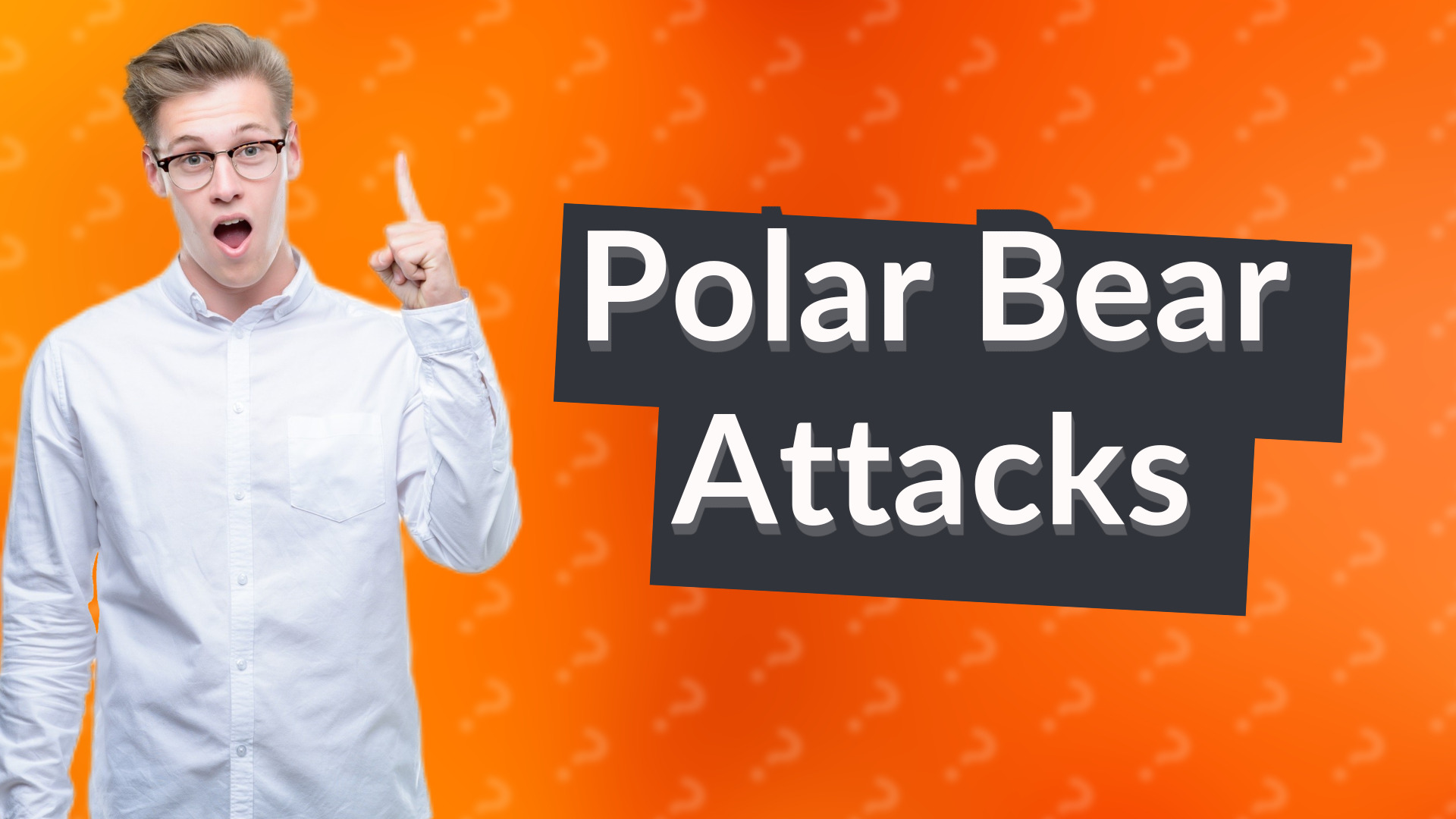 Polar Bear Attacks