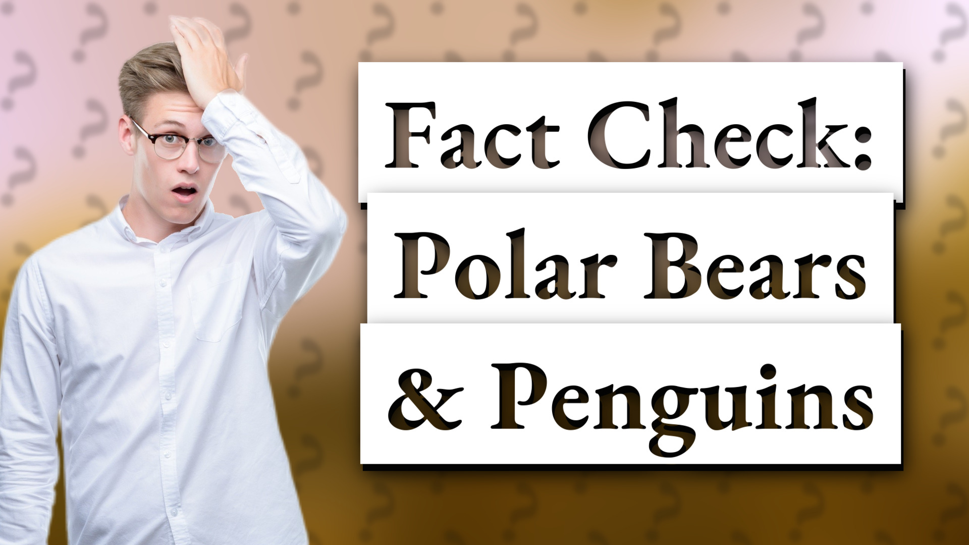 Fact Check: Polar Bears & Penguins