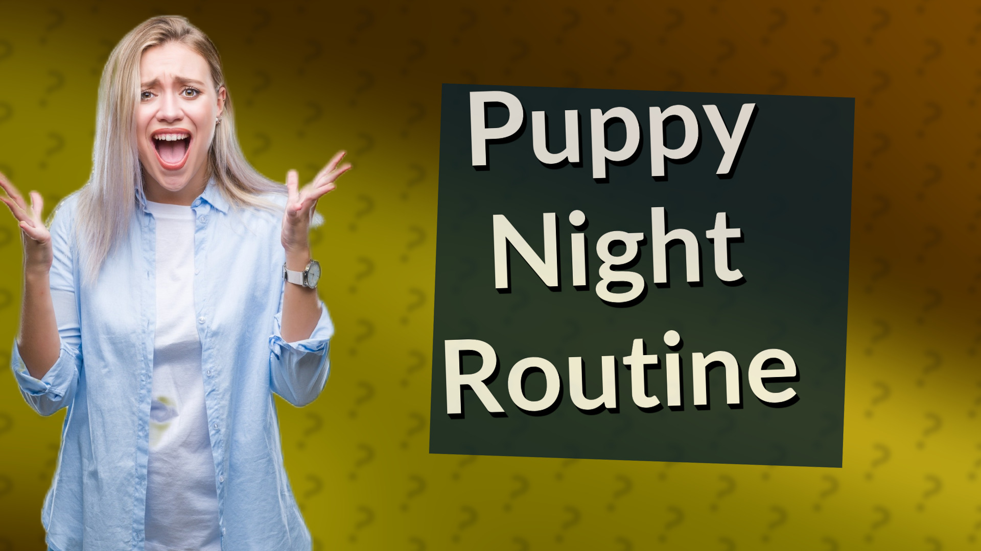 Puppy Night Routine