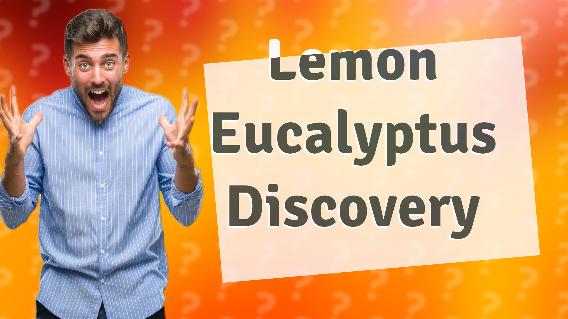 Lemon Eucalyptus Discovery