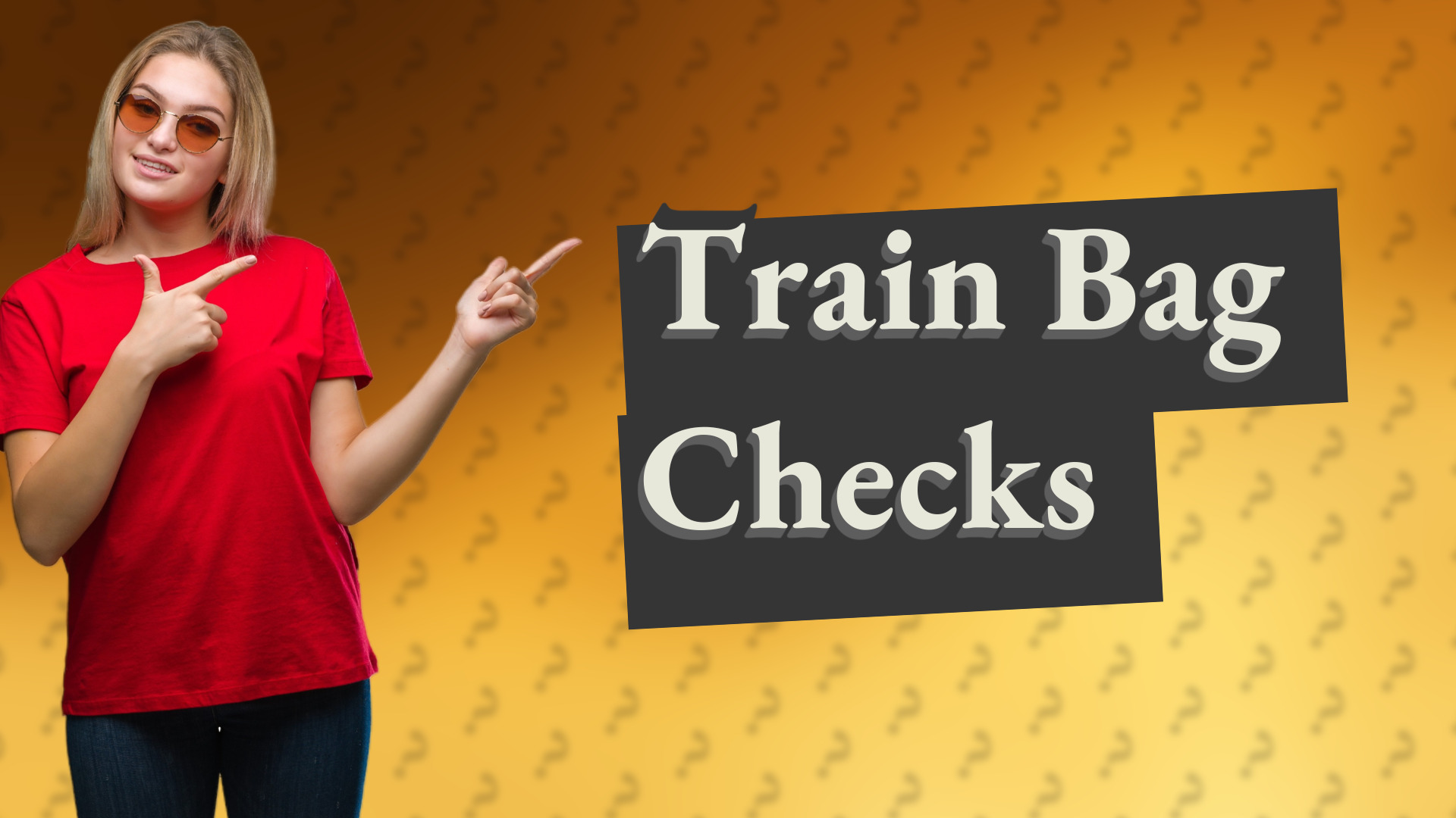Train Bag Checks