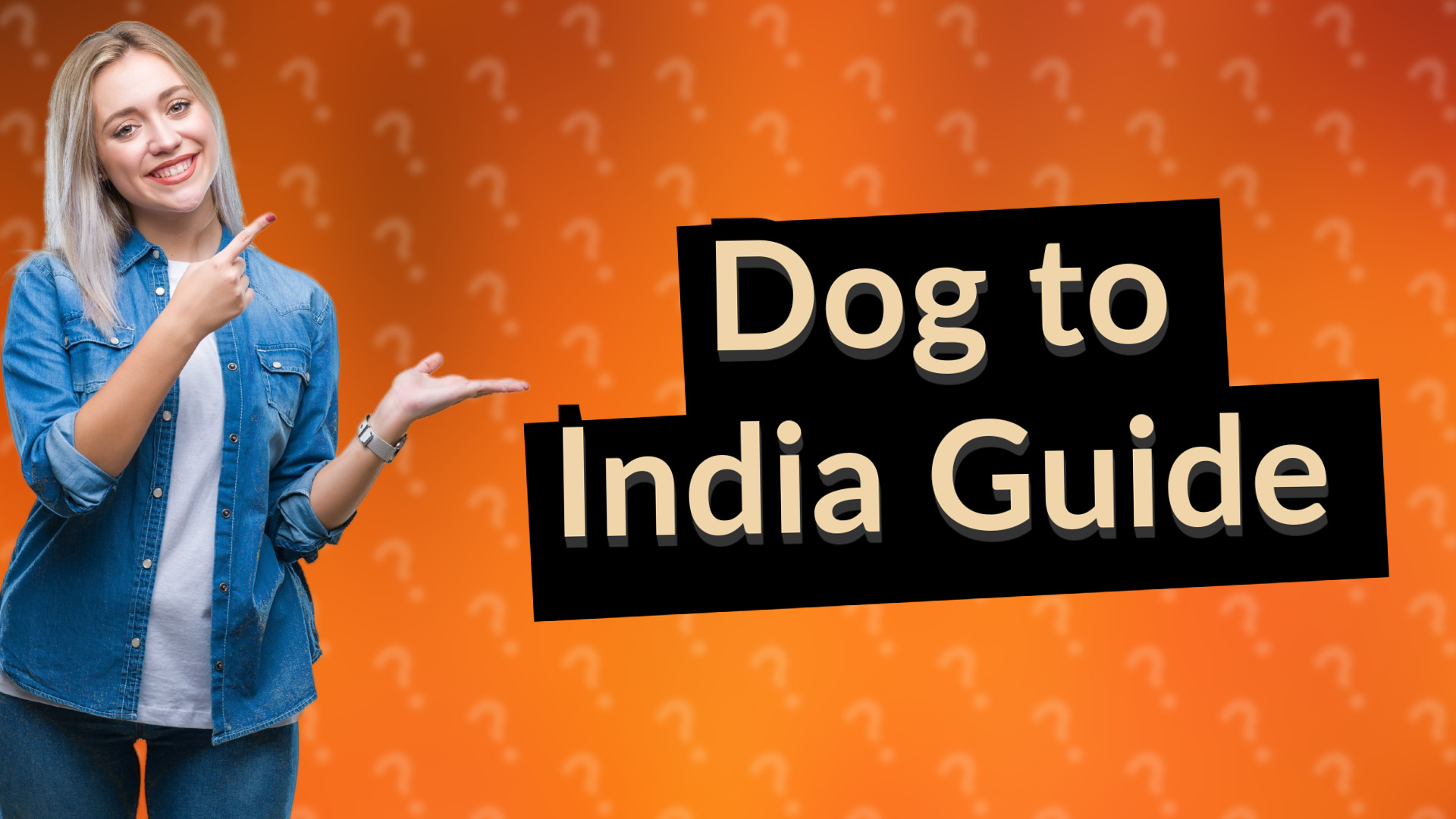 Dog to India Guide