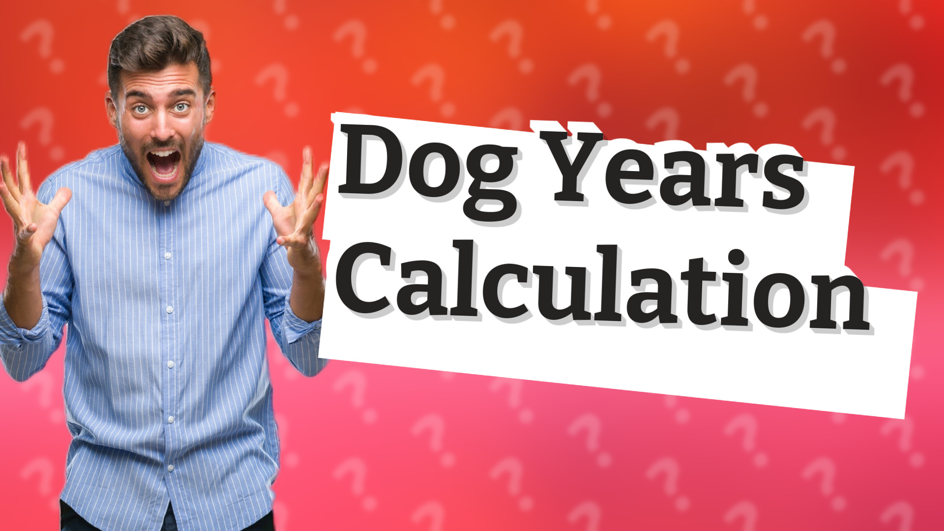Dog Years Calculation