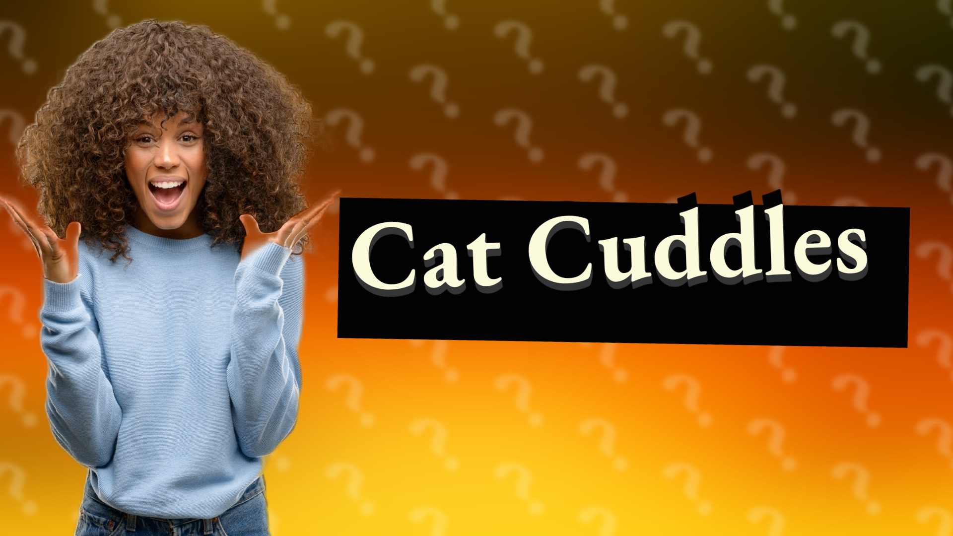 Cat Cuddles