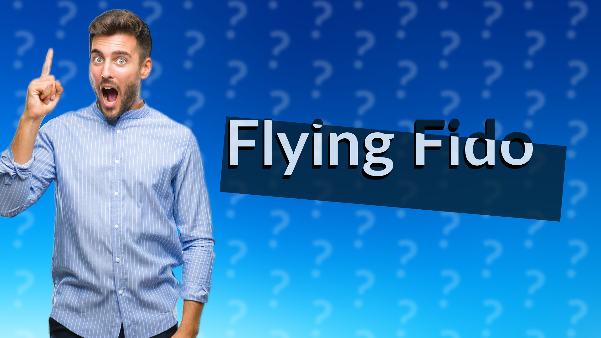 Flying Fido
