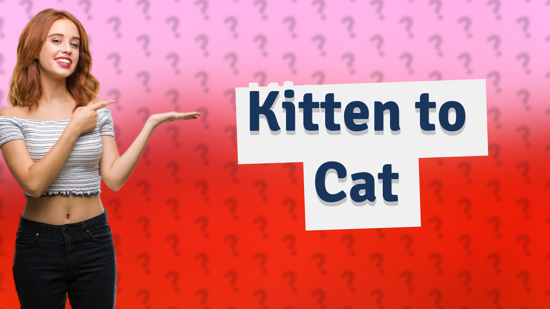 Kitten to Cat