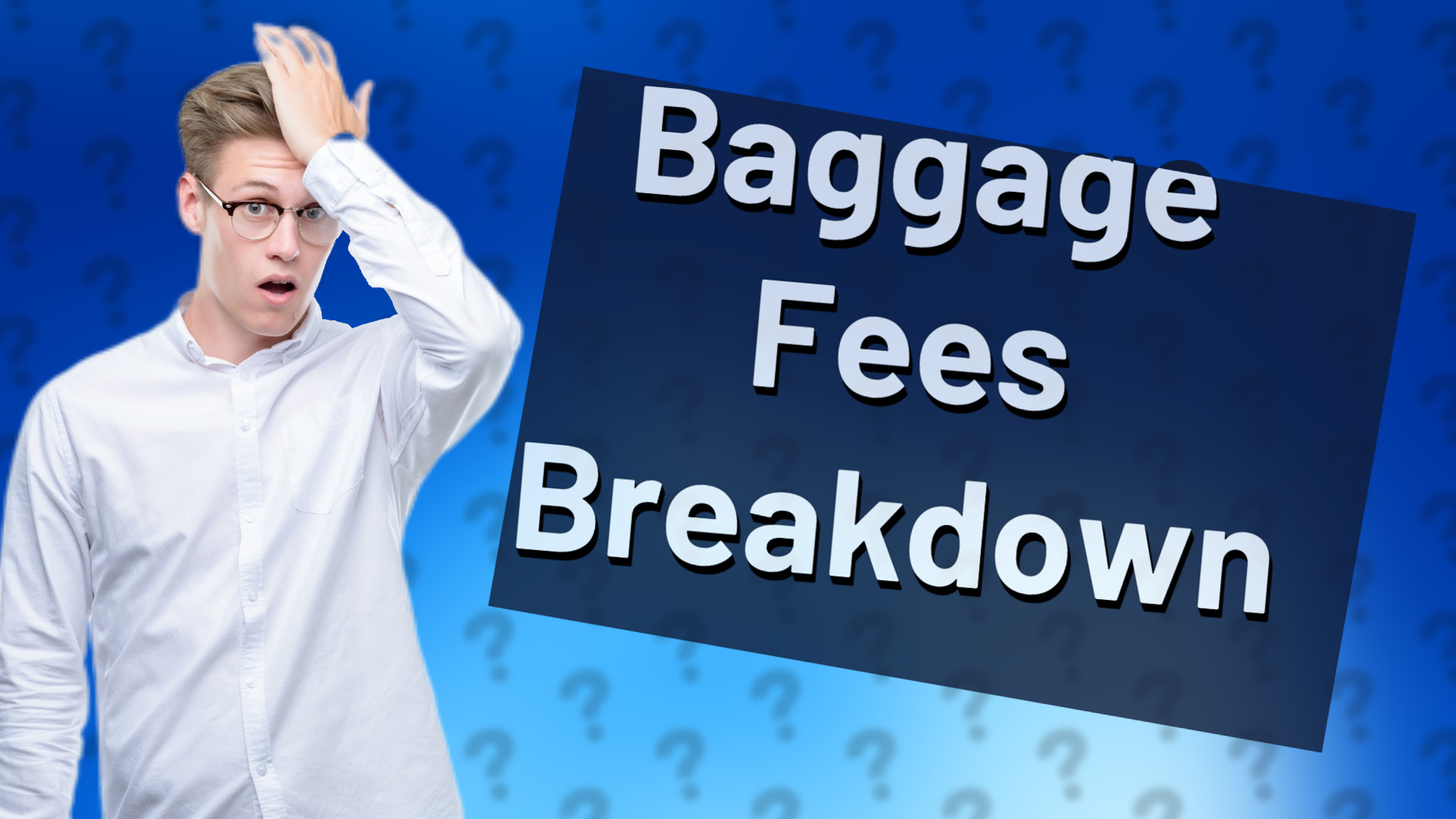 Baggage Fees Breakdown