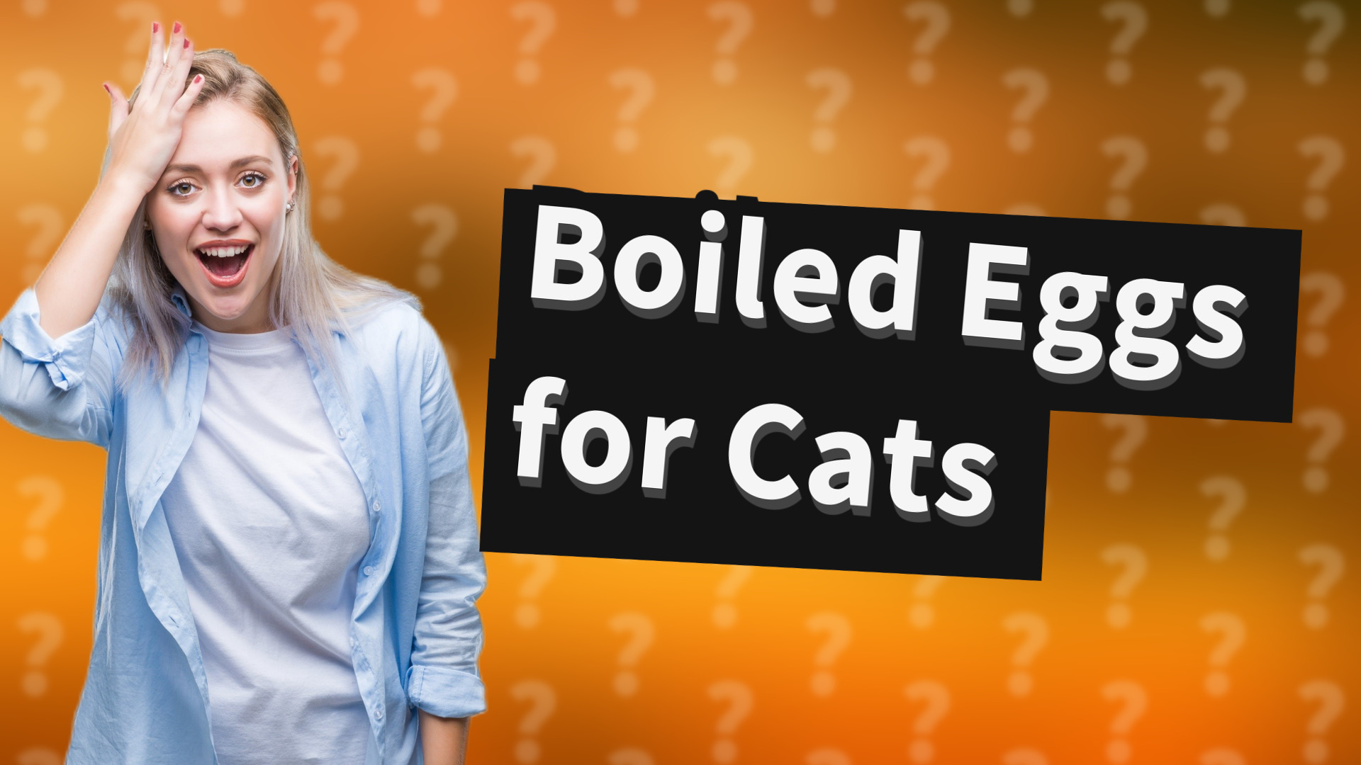 Boiled Eggs for Cats