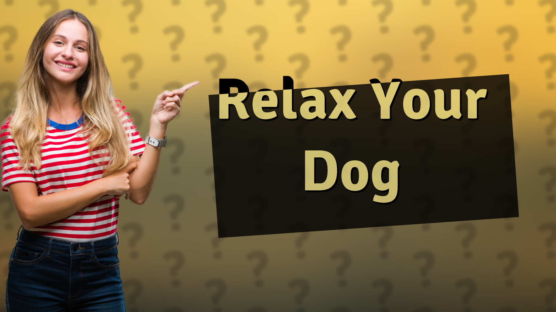 Relax Your Dog