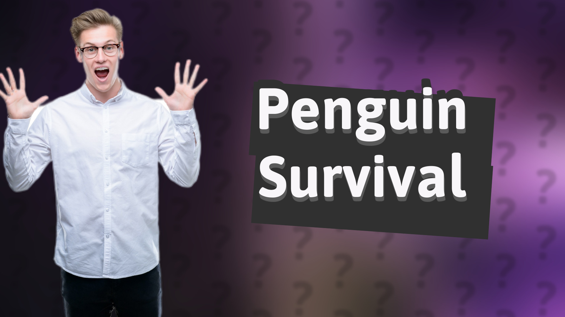 Penguin Survival