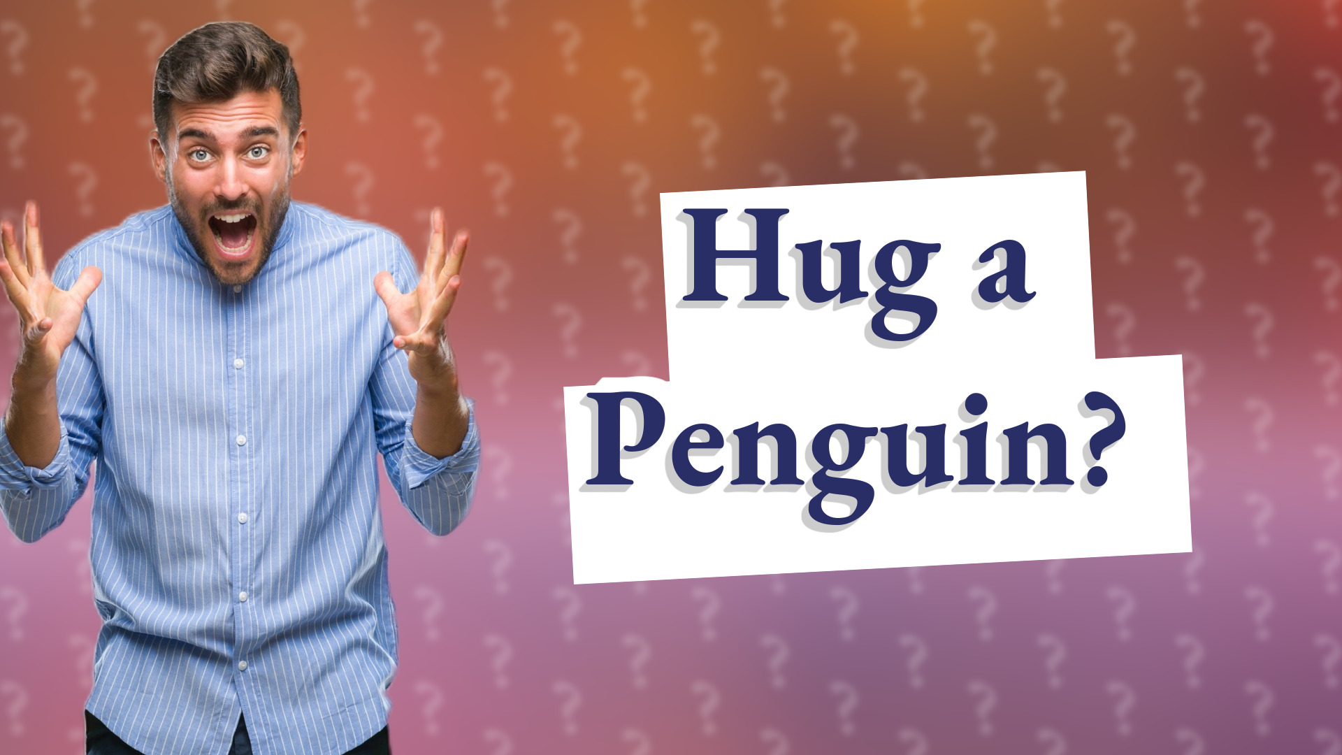 Hug a Penguin?