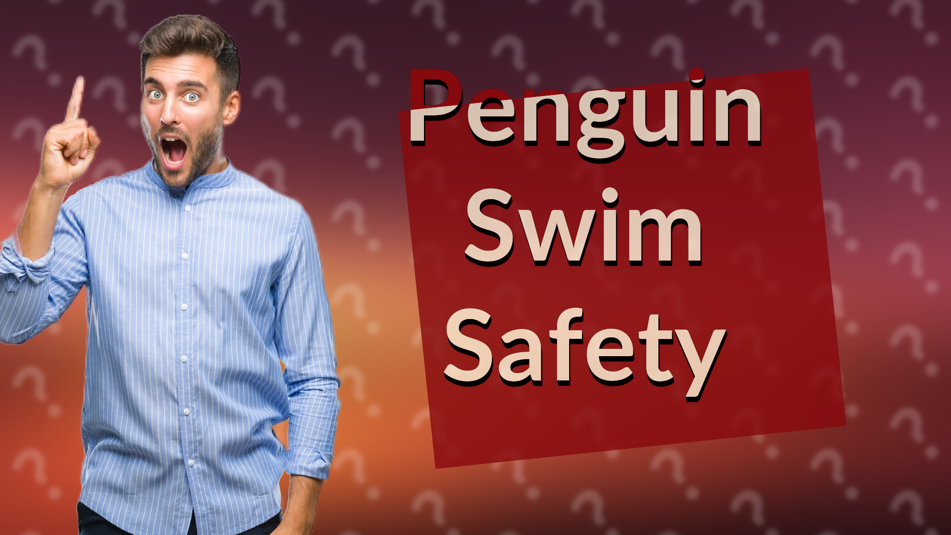 Penguin Swim Safety