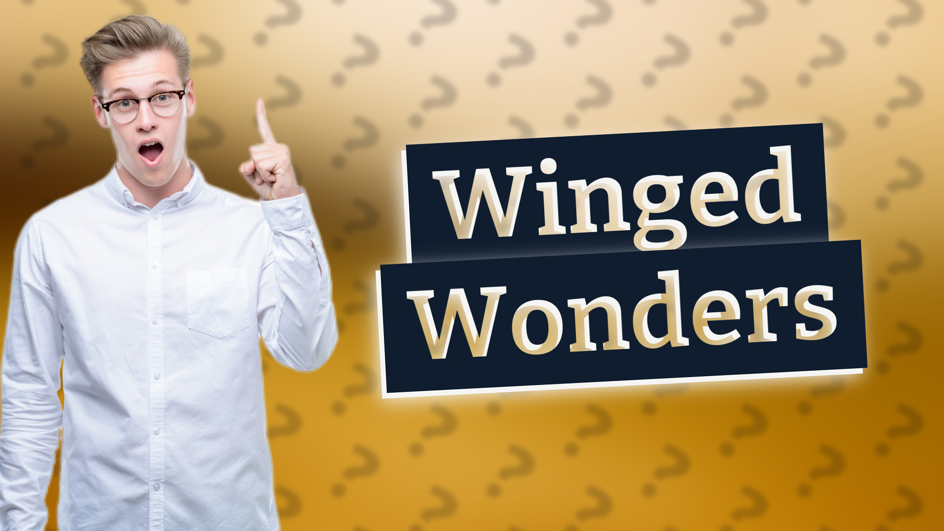 Winged Wonders