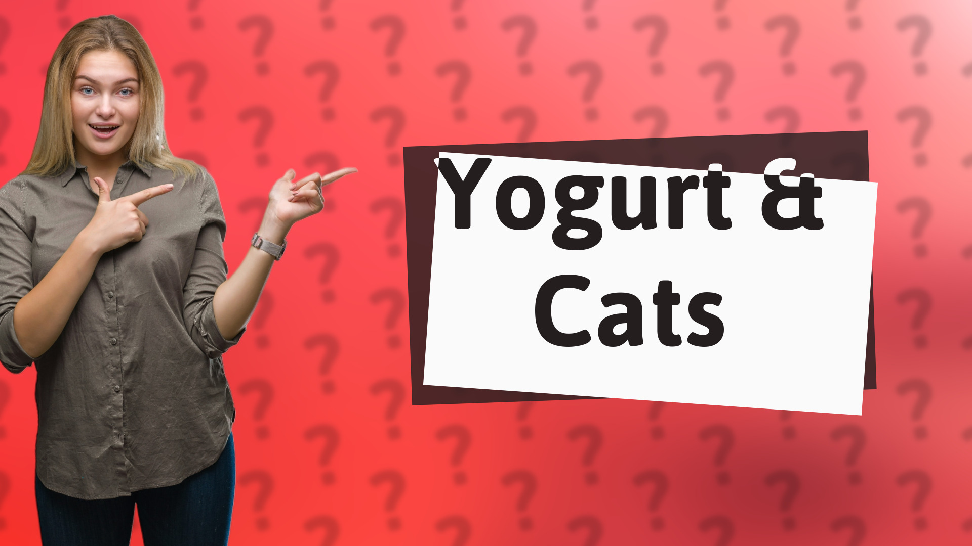 Yogurt & Cats