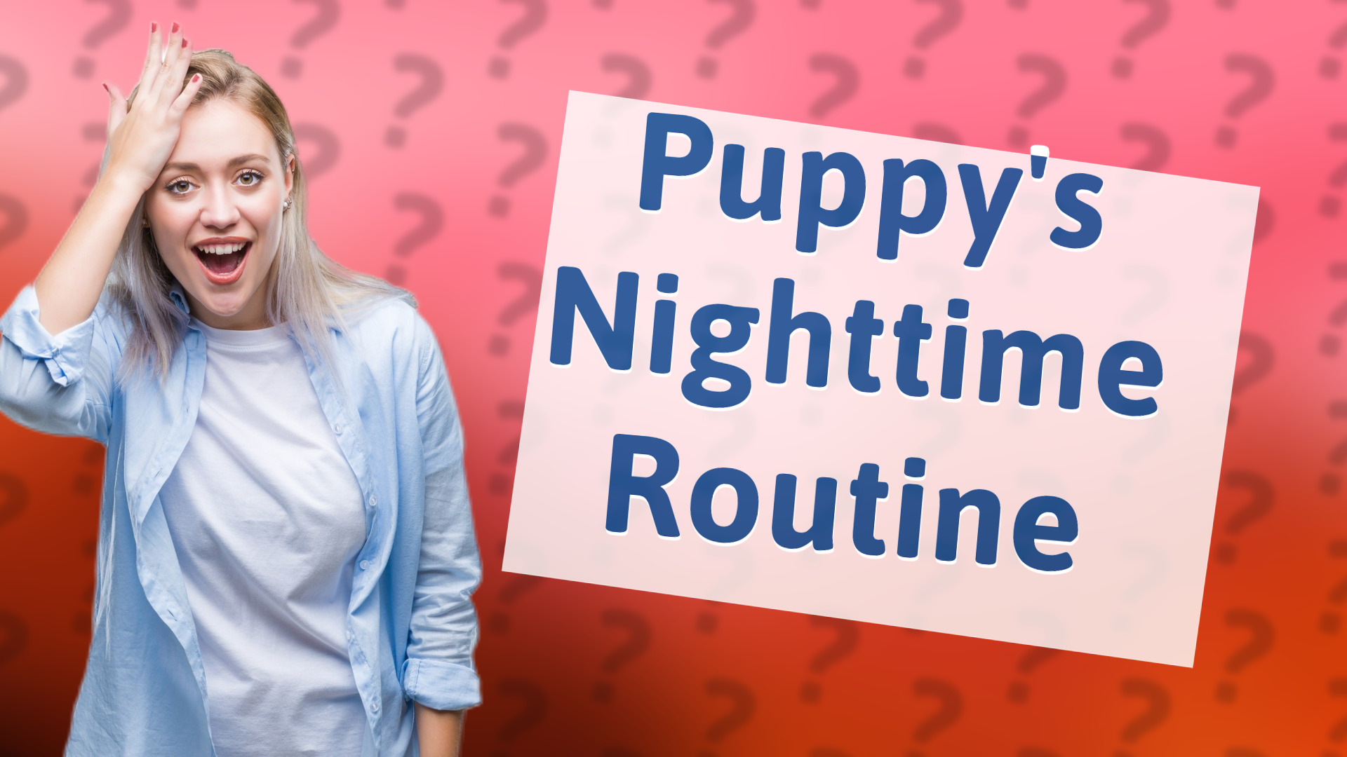 Puppy's Nighttime Routine