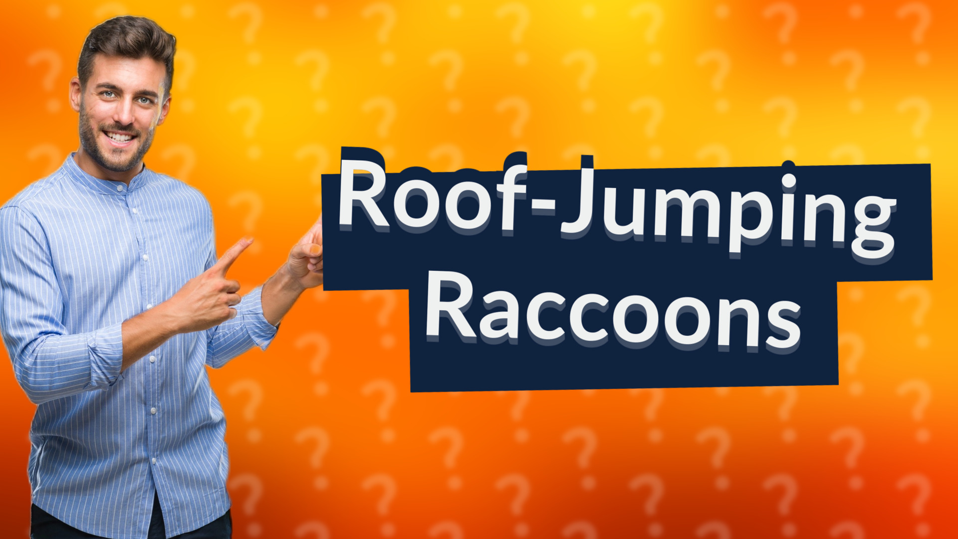 Roof-Jumping Raccoons