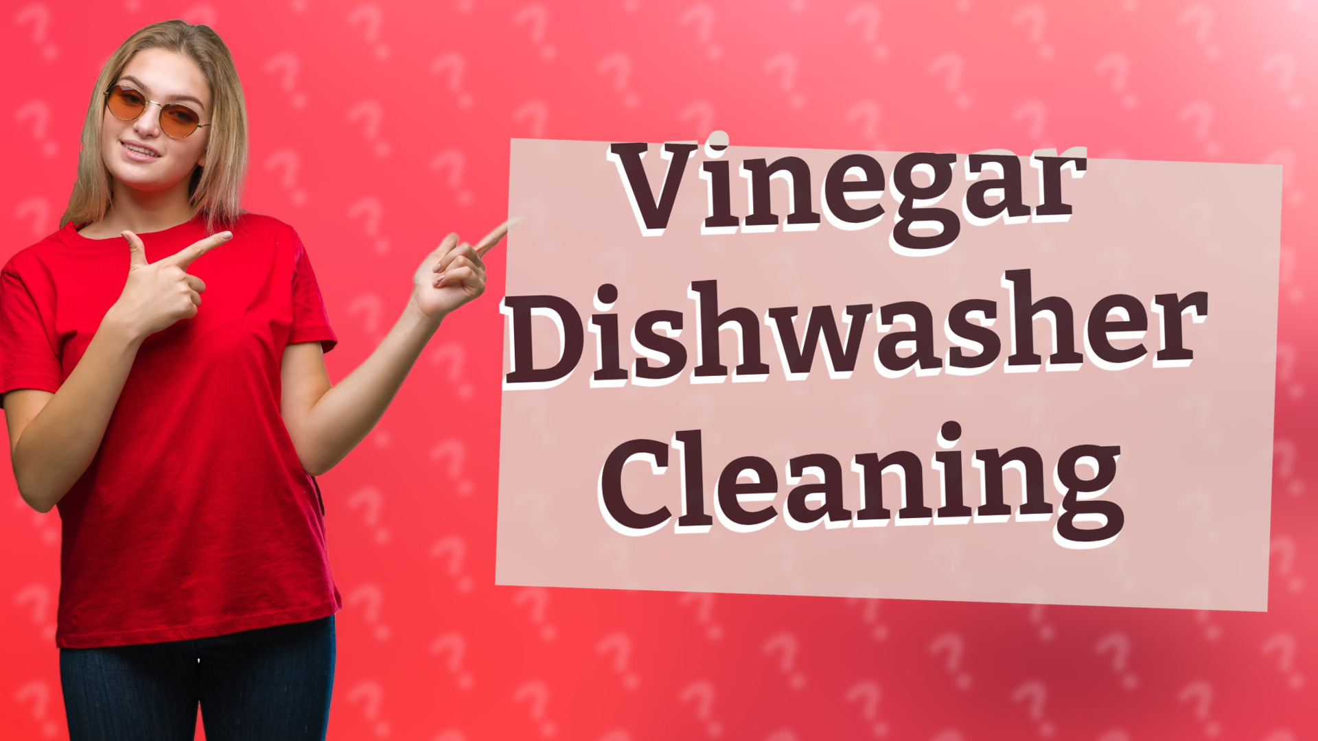 Vinegar Dishwasher Cleaning