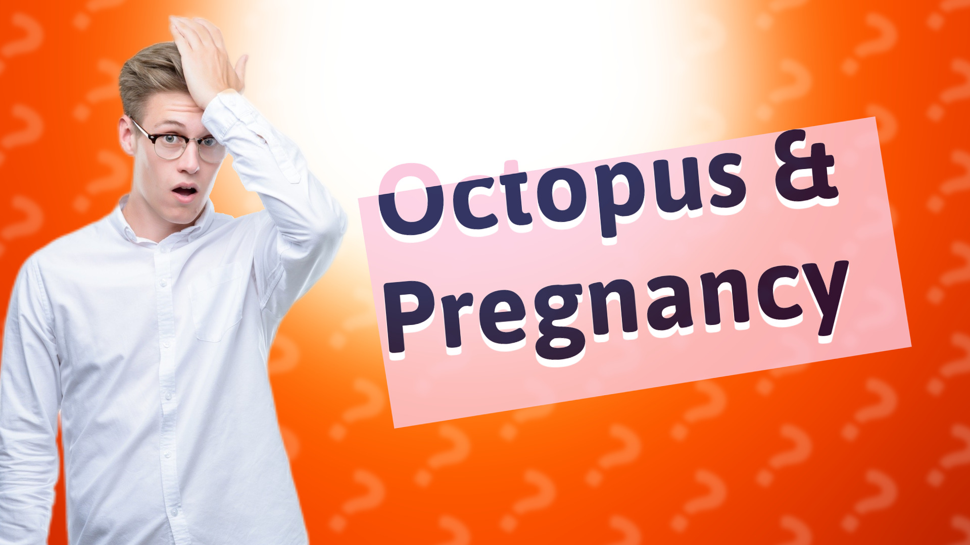 Octopus & Pregnancy