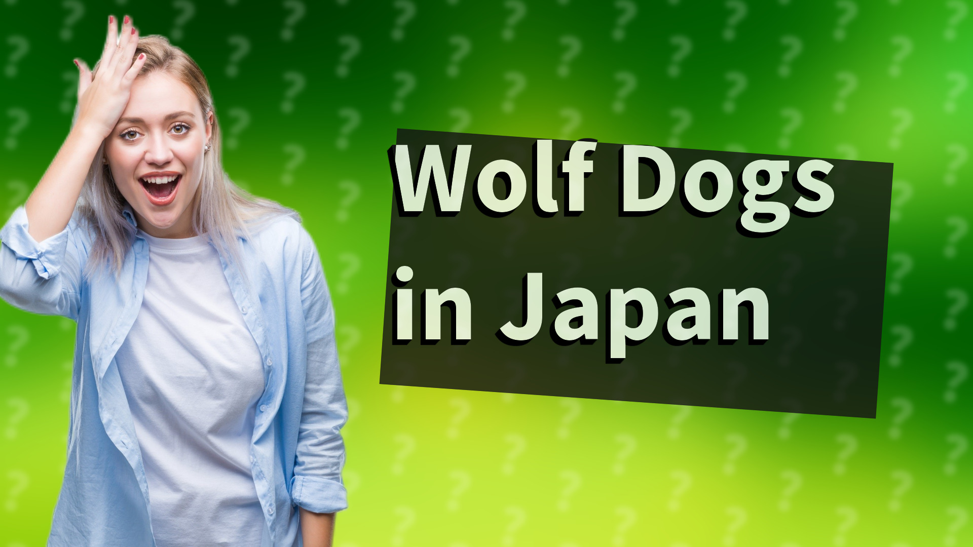Wolf Dogs in Japan
