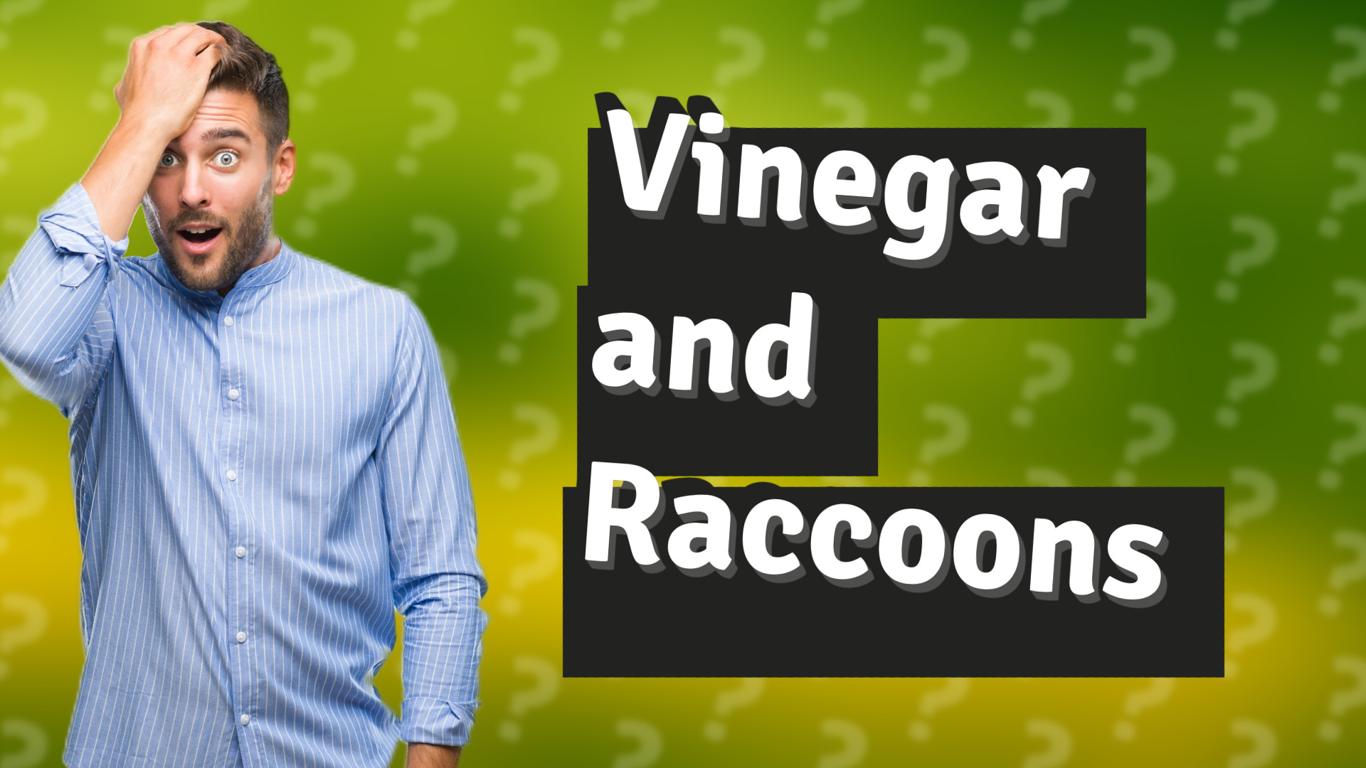 Vinegar and Raccoons