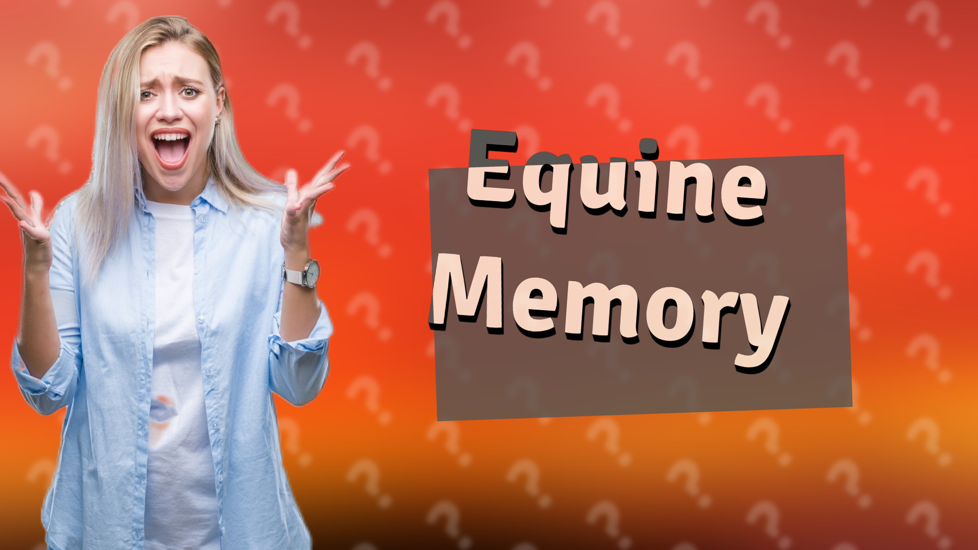 Equine Memory