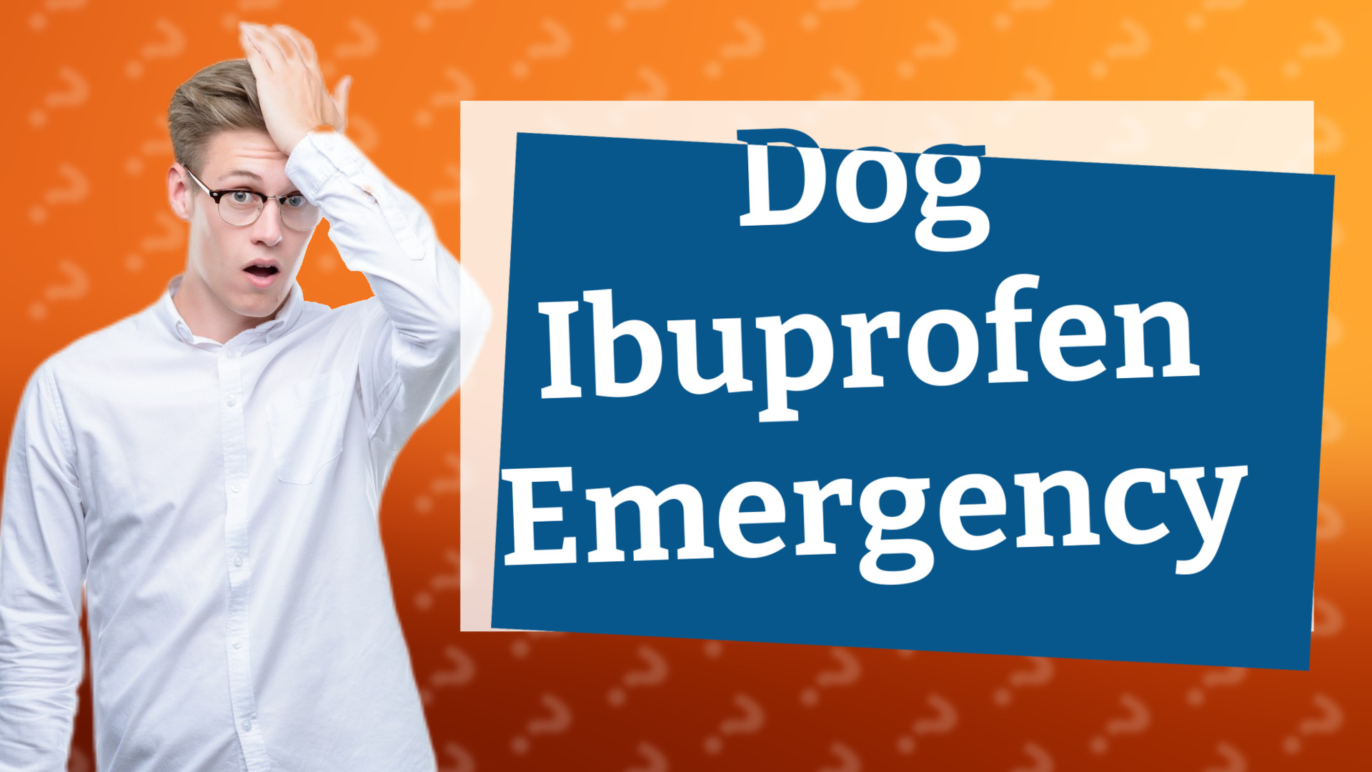 Dog Ibuprofen Emergency