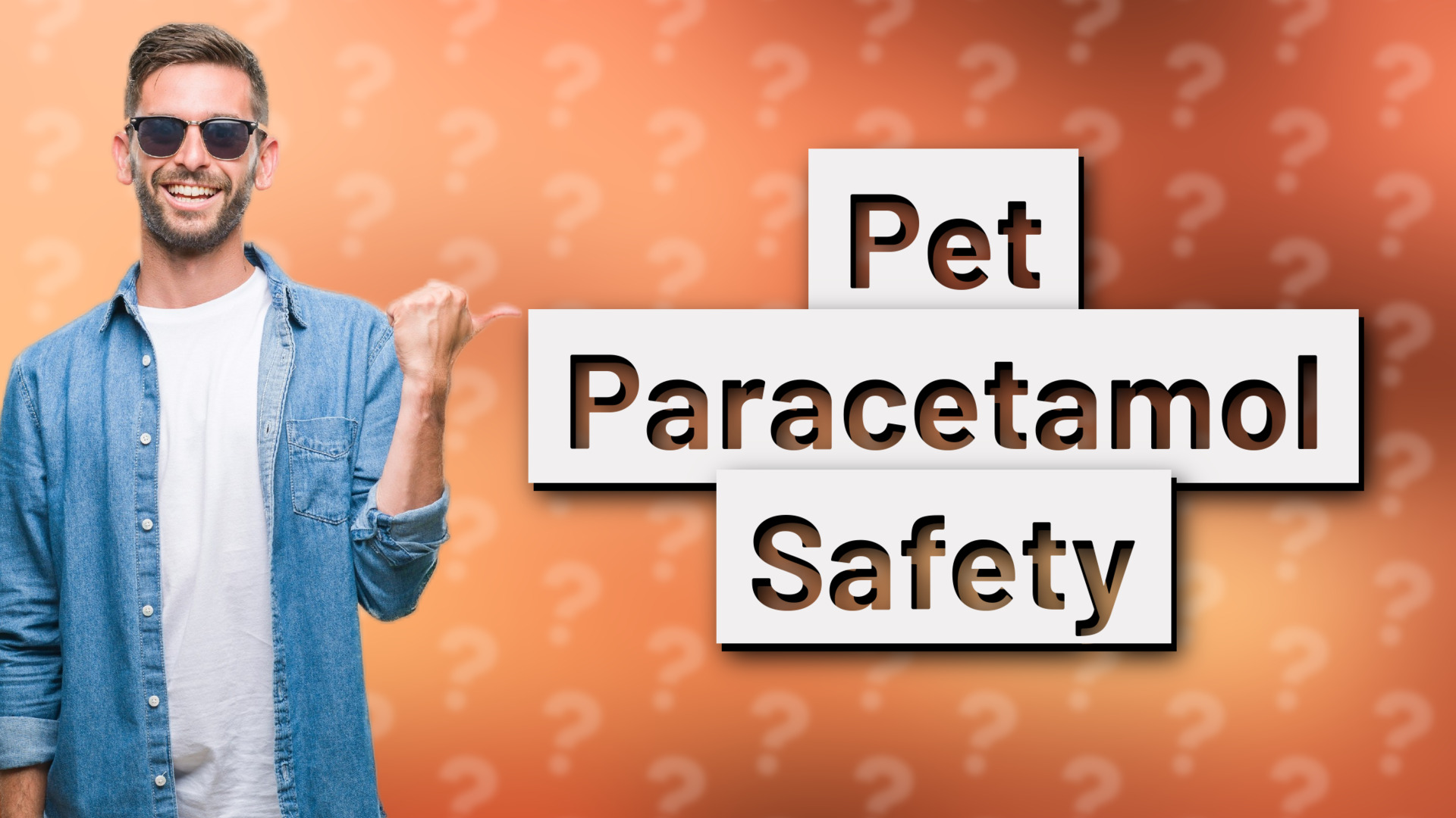 Pet Paracetamol Safety