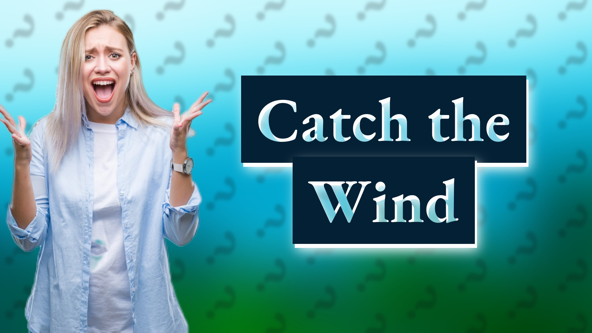 Catch the Wind
