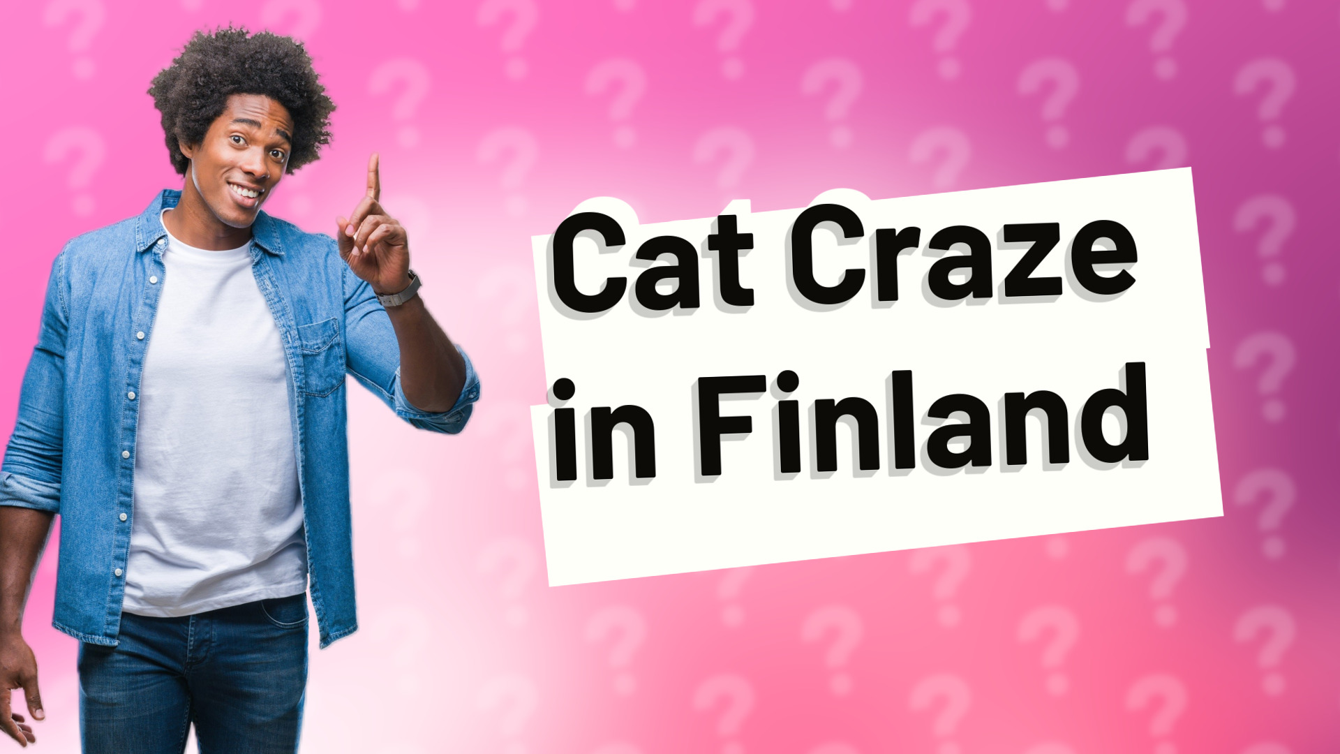 Cat Craze in Finland