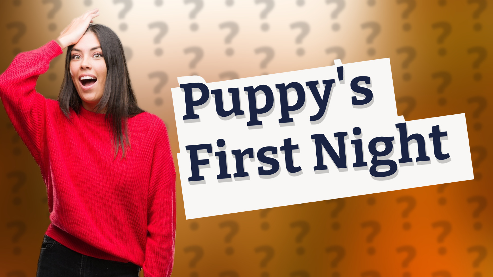 Puppy's First Night