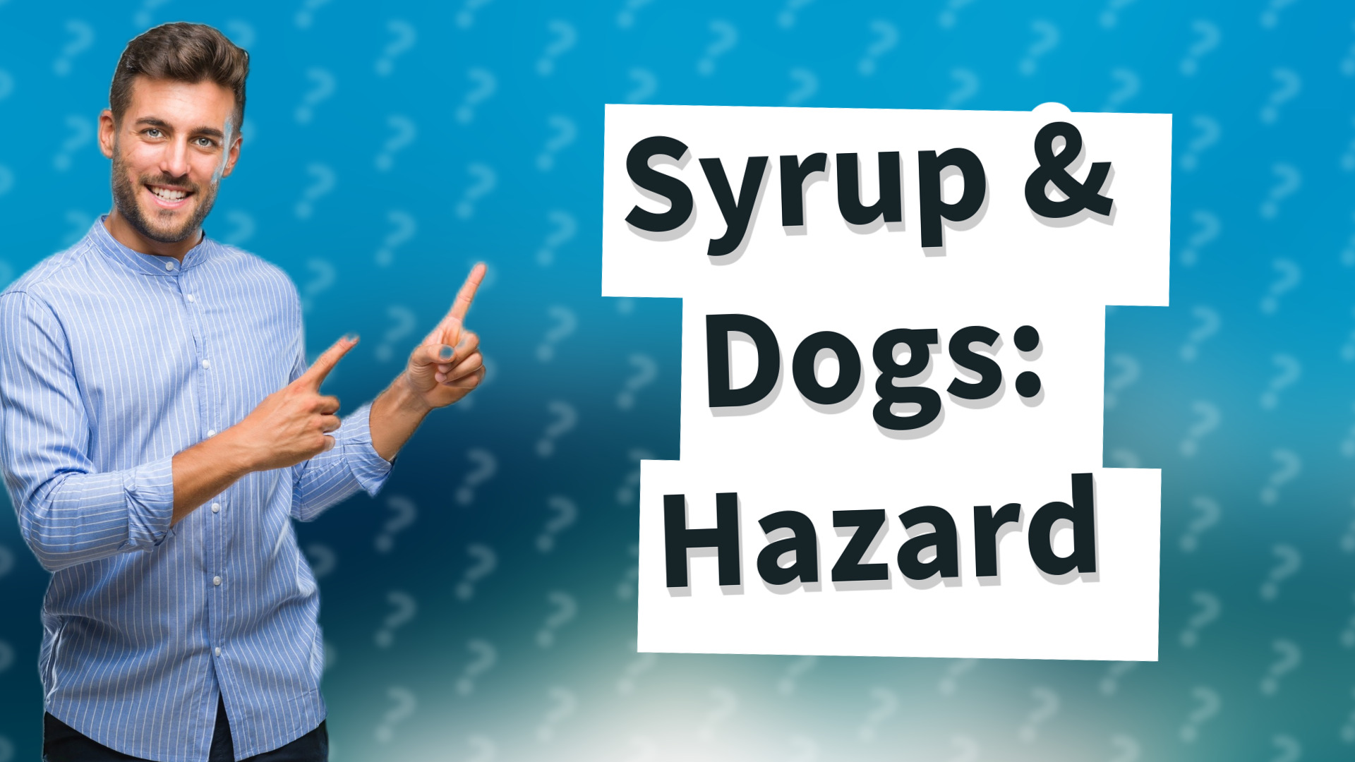 Syrup & Dogs: Hazard