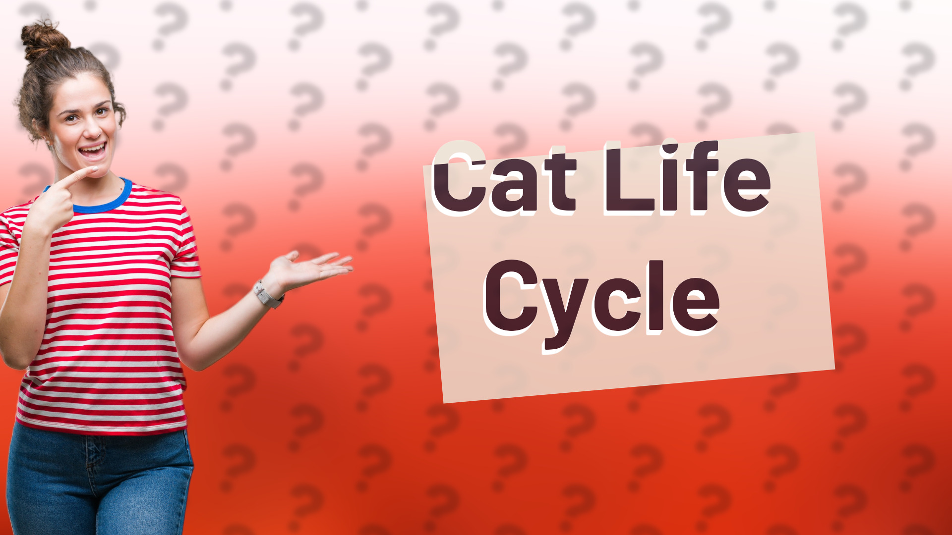 Cat Life Cycle