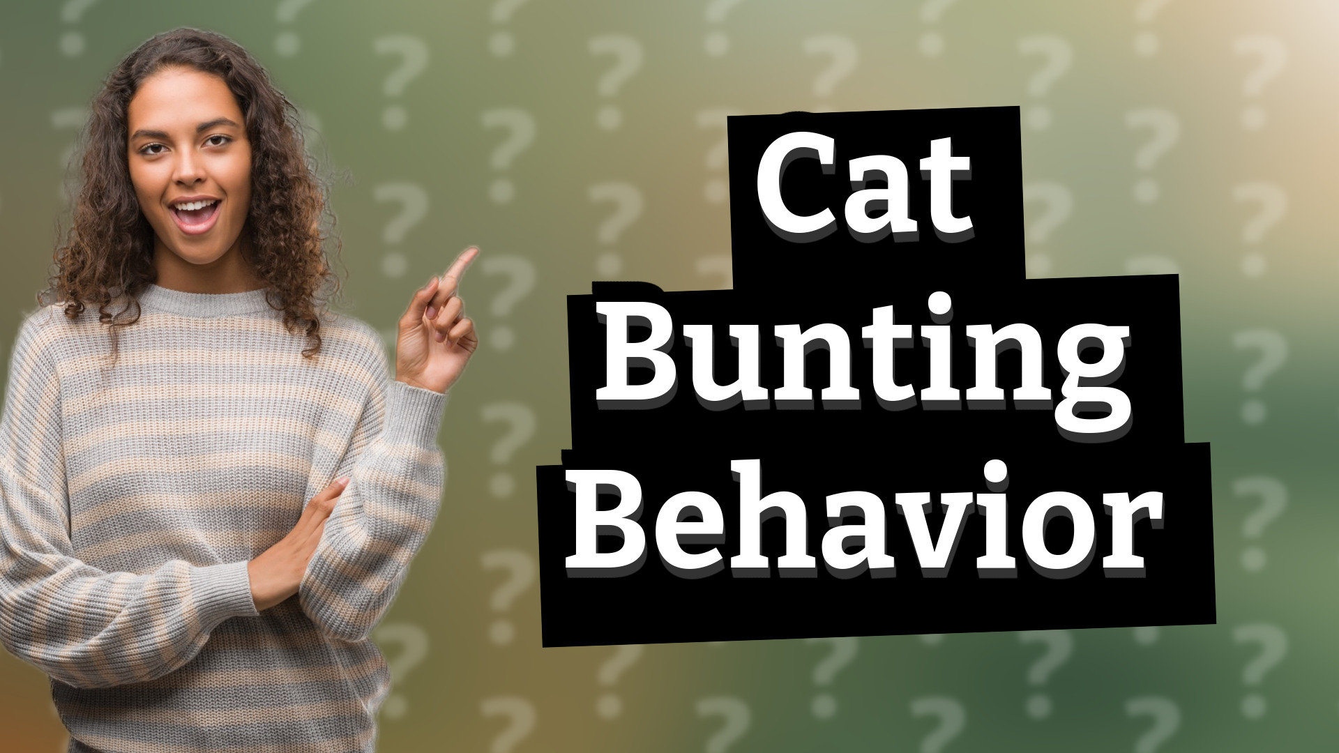Cat Bunting Behavior