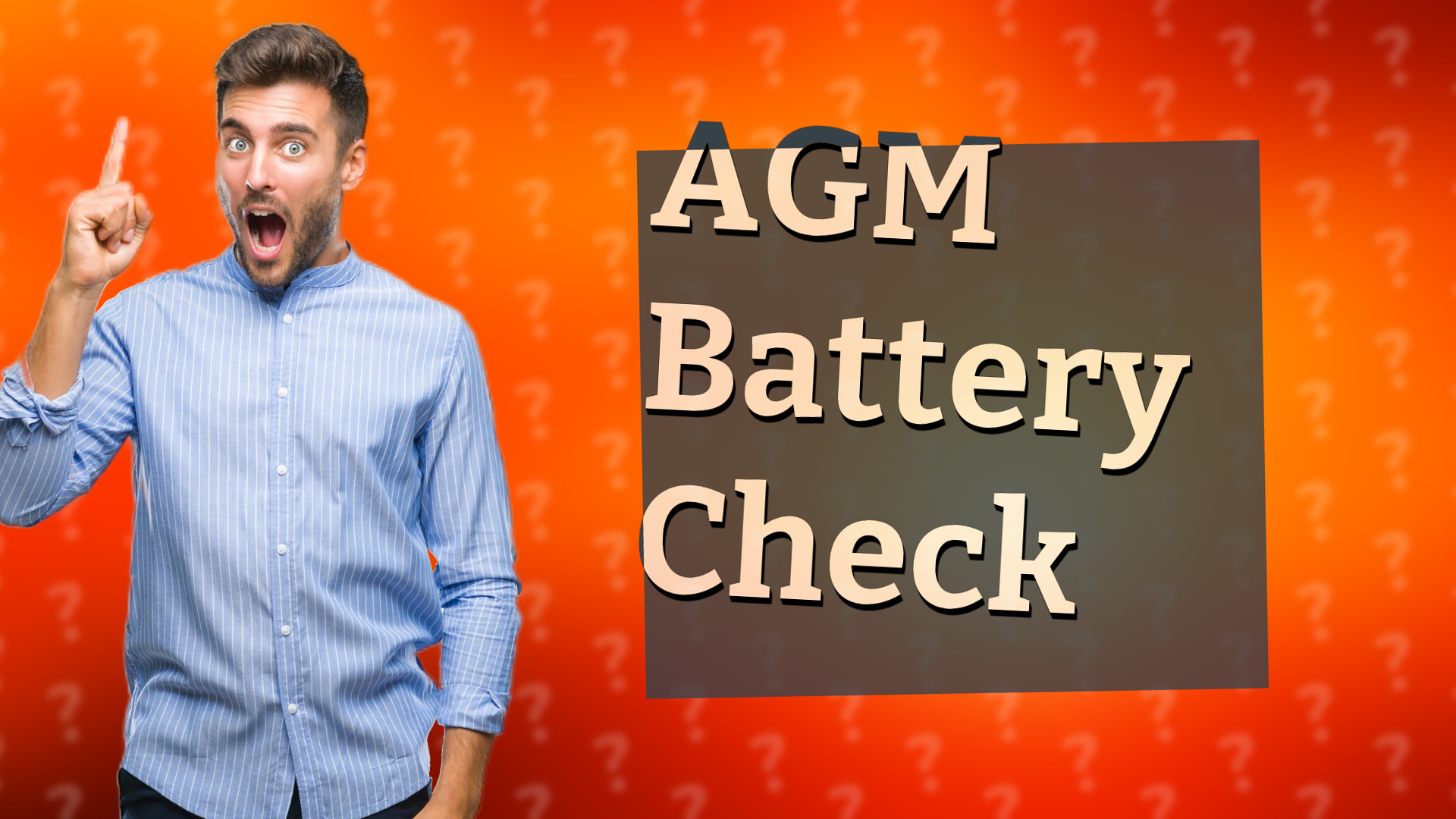 AGM Battery Check