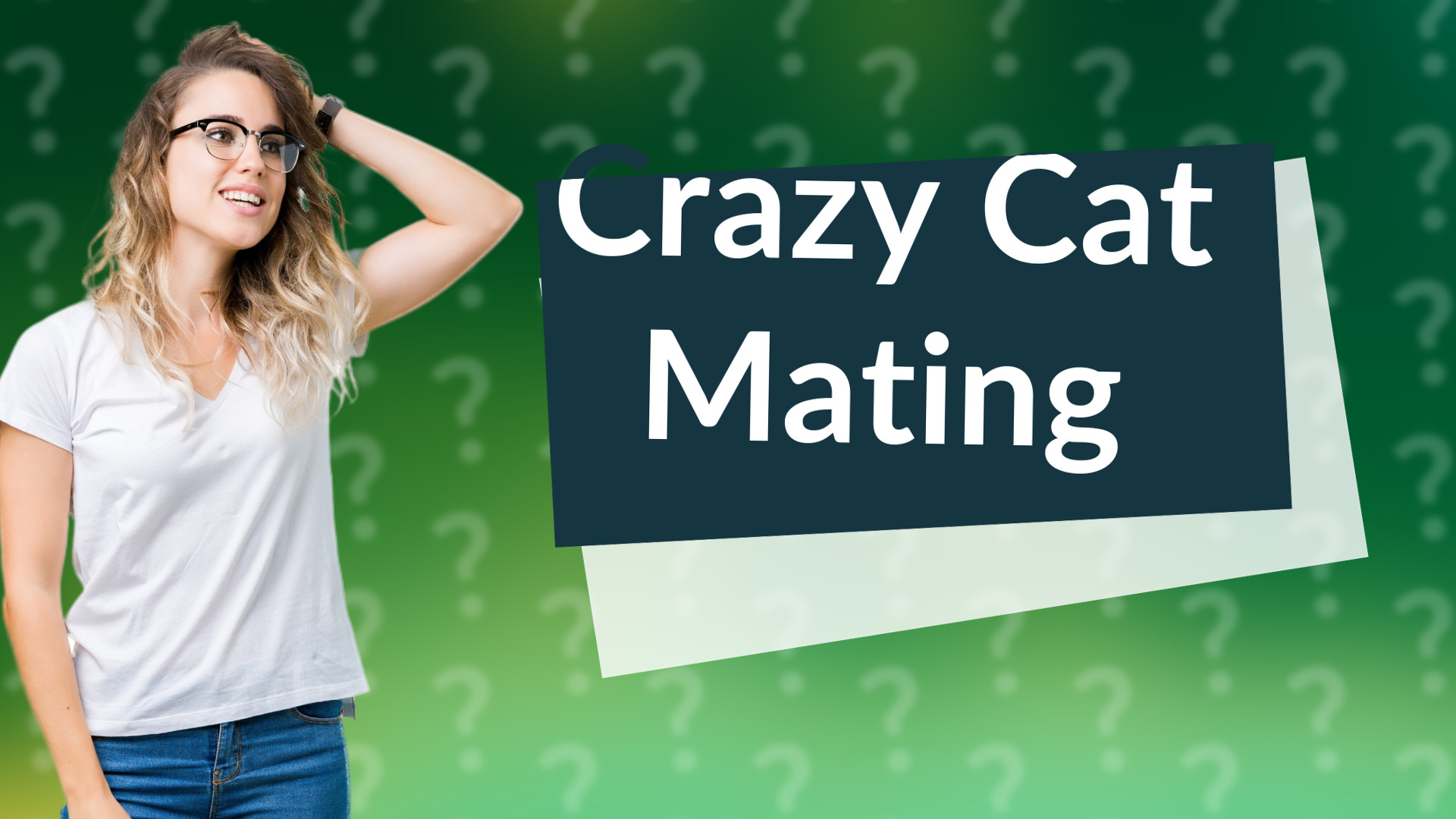 Crazy Cat Mating