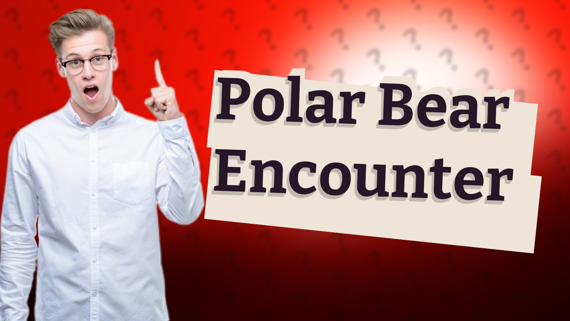 Polar Bear Encounter