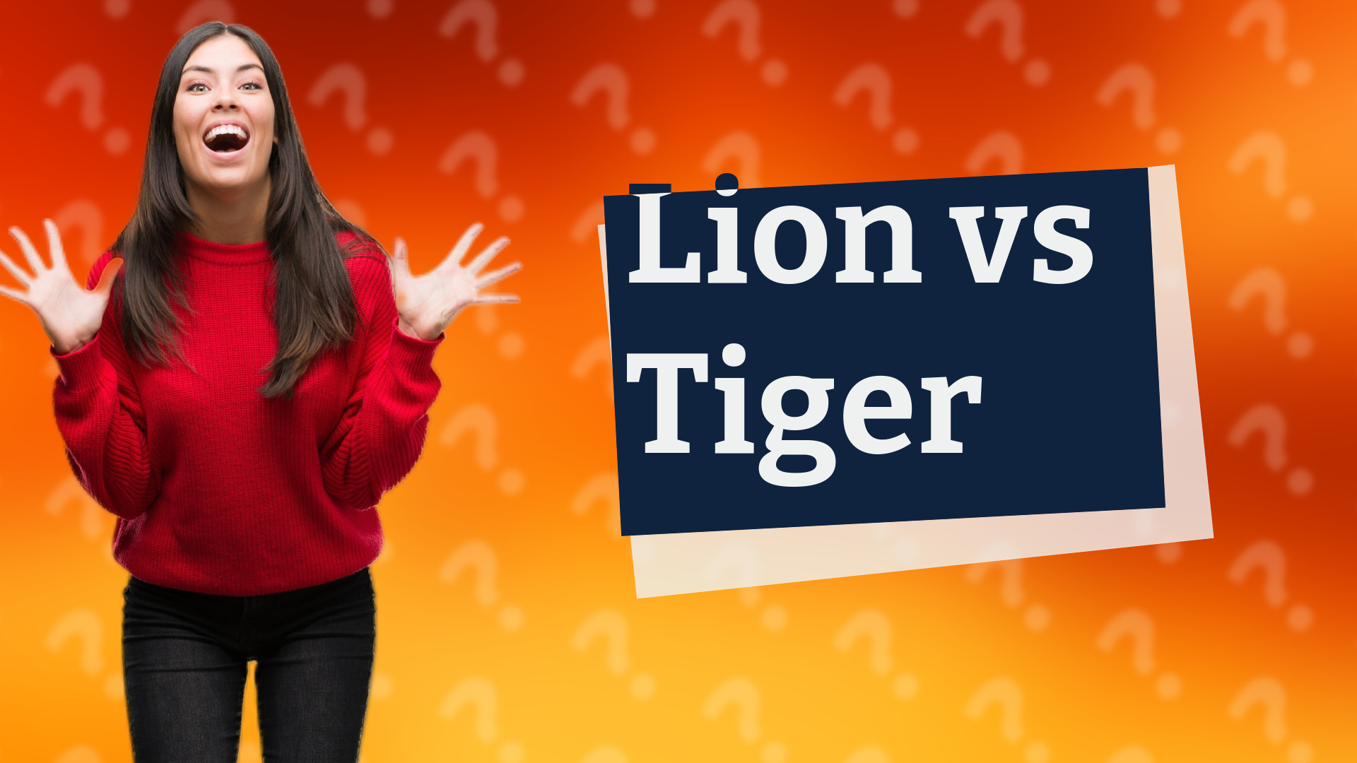 Lion vs Tiger