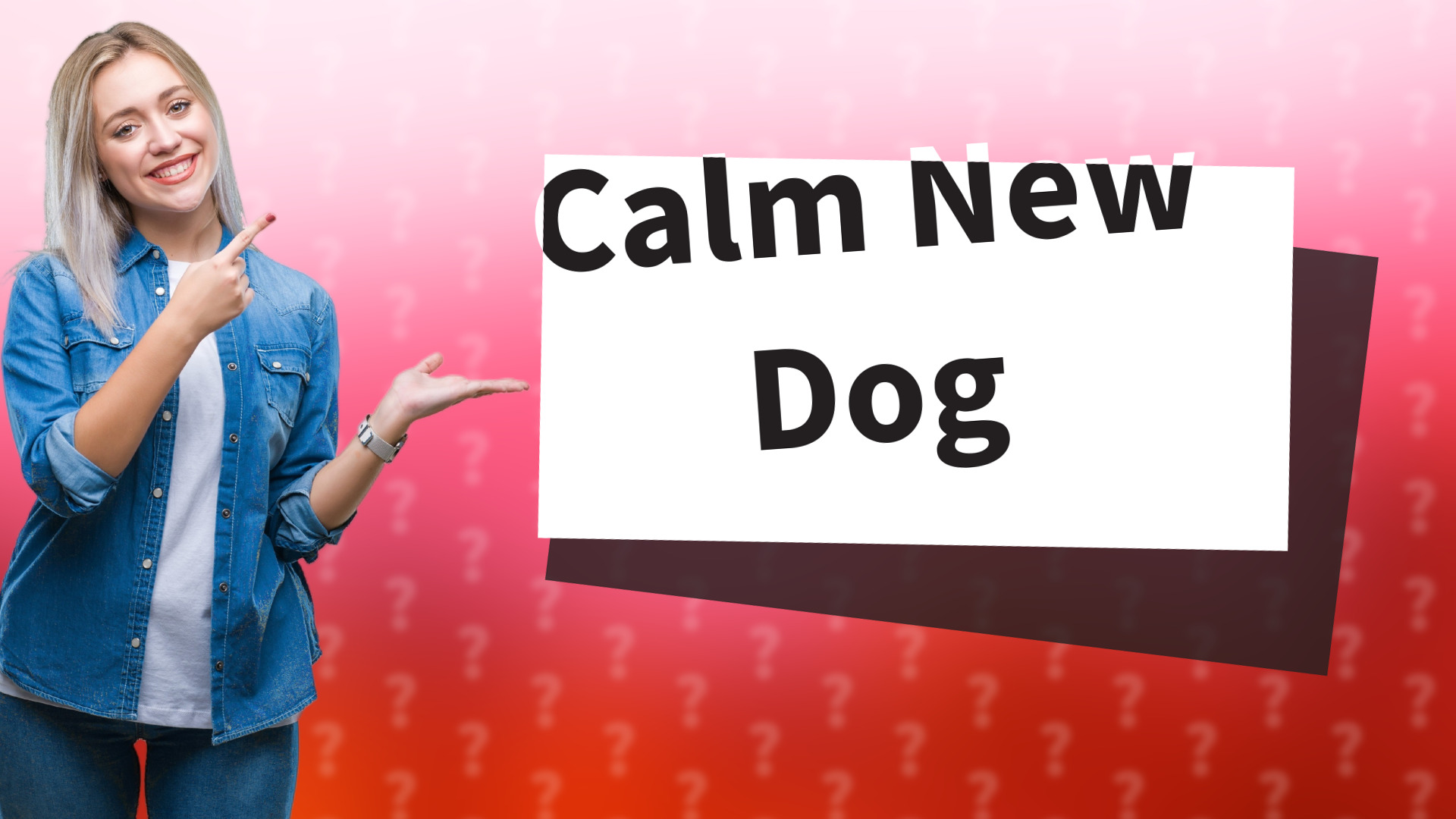 Calm New Dog