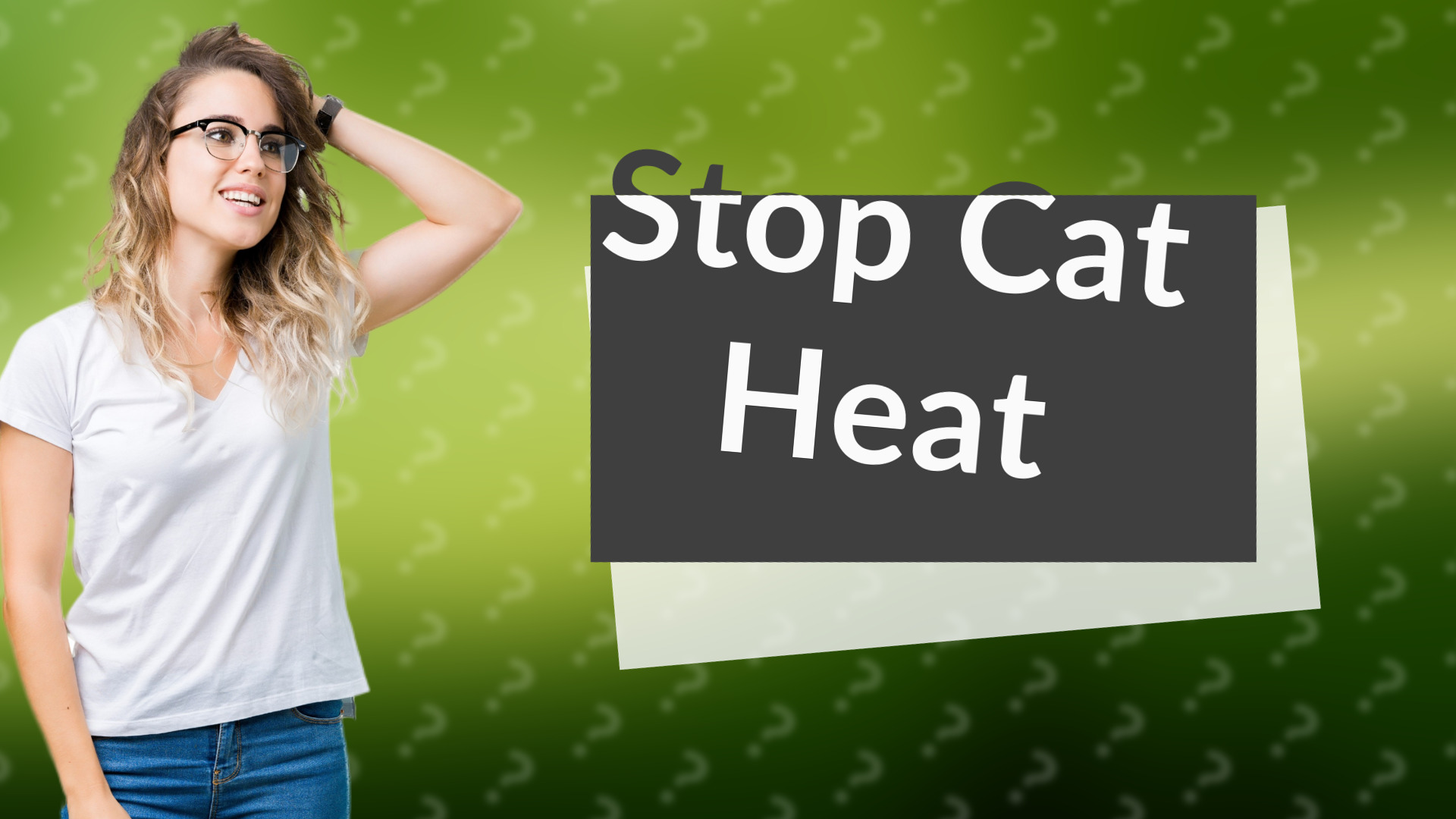 Stop Cat Heat