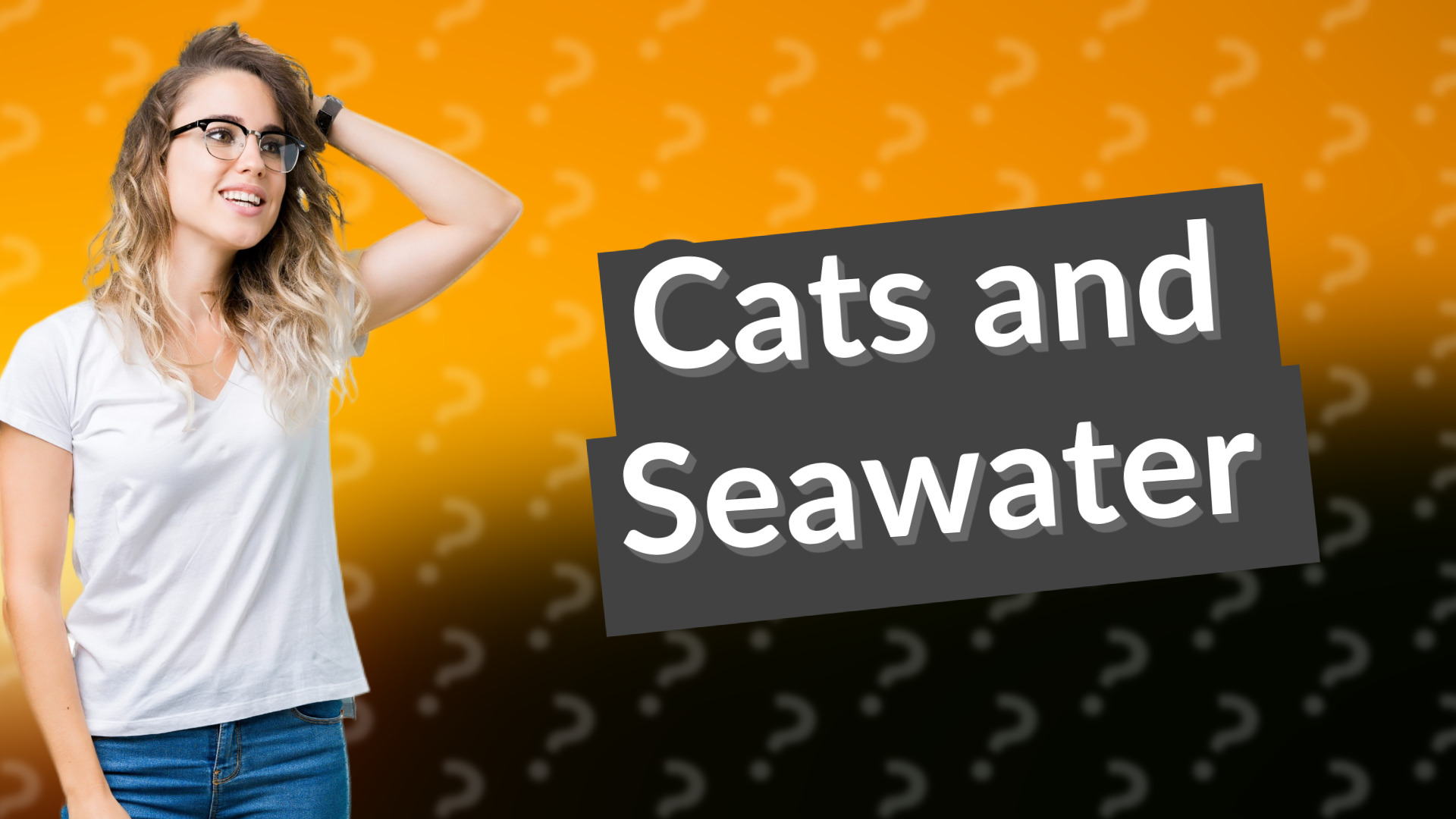 Cats and Seawater