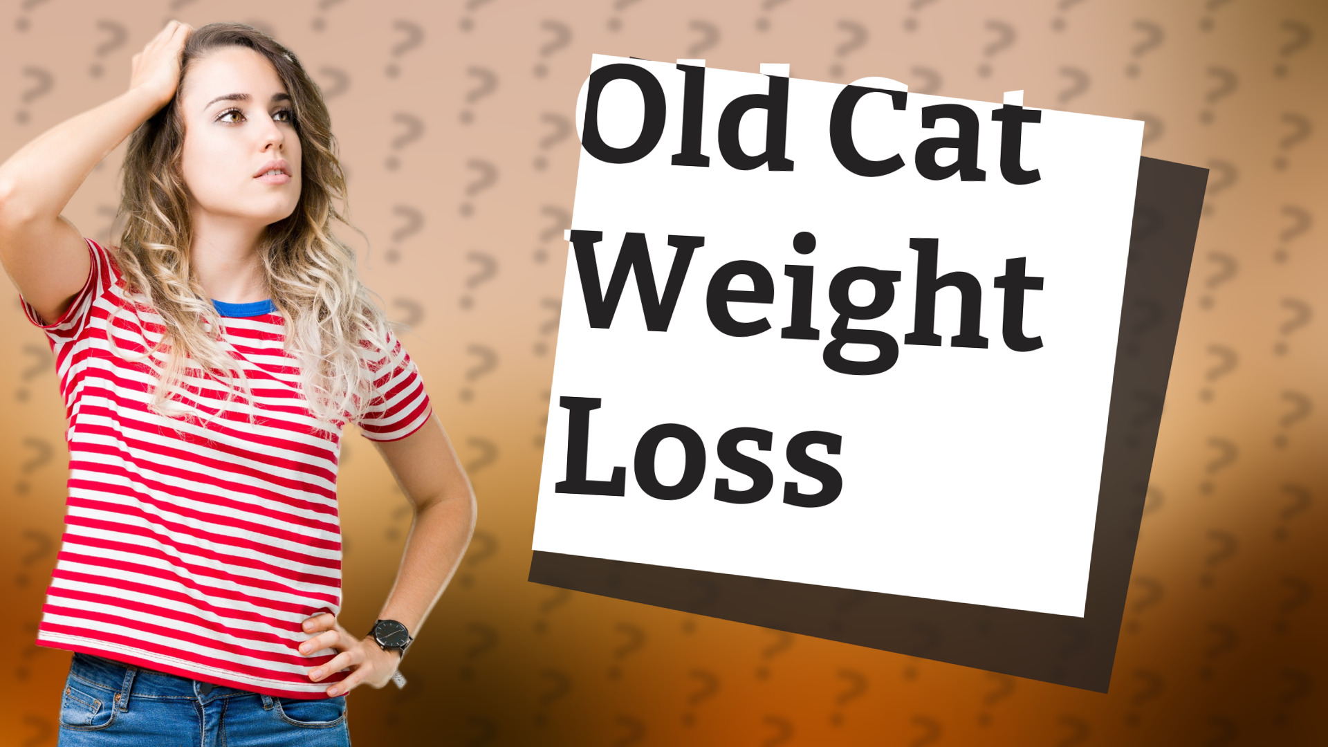 Old Cat Weight Loss