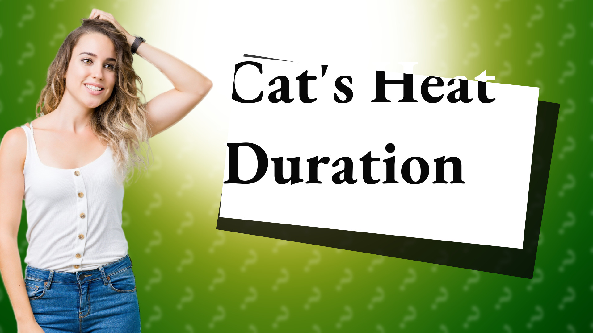 Cat's Heat Duration